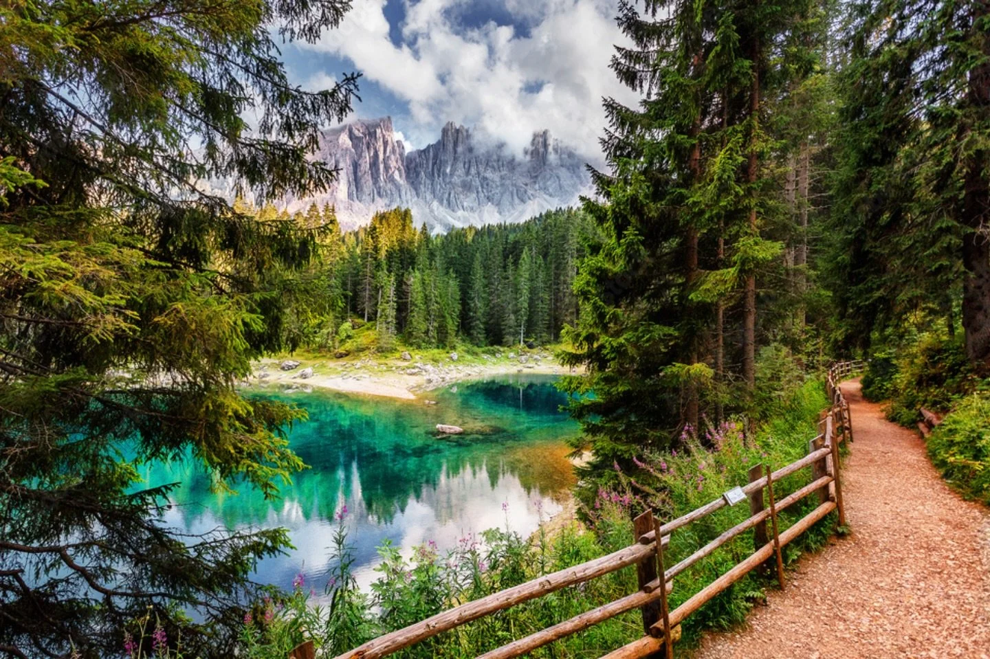 Trees, rivers, lakes, walks, good food, great company, excellent conversations. #DecodingVitality