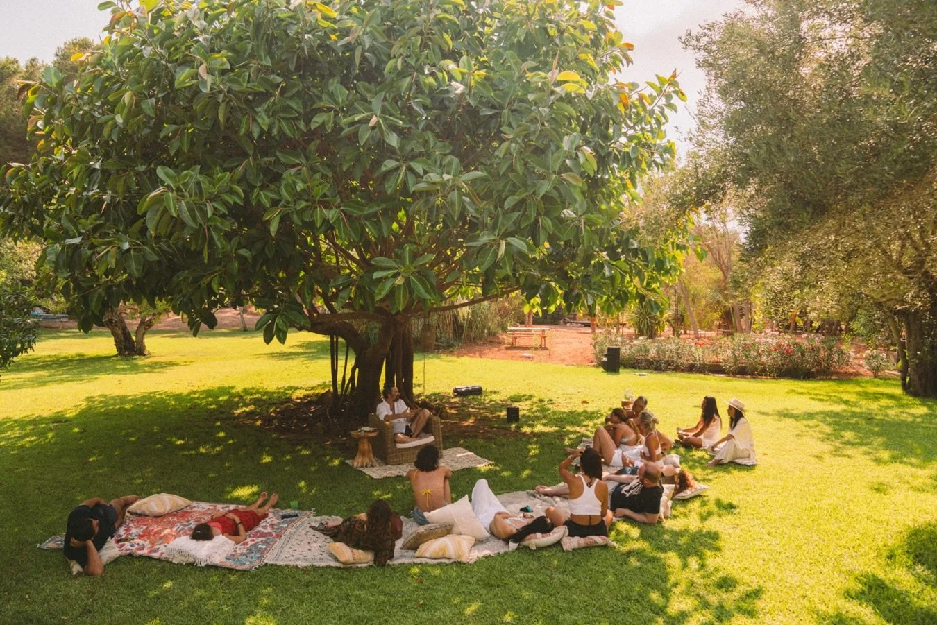 Vitality at the physical level: your cells talking to each other. Your systems working together. Your body doing what it was actually designed to do.

Vitality at the metaphysical level: the feeling that you are exactly where you&rsquo;re supposed to