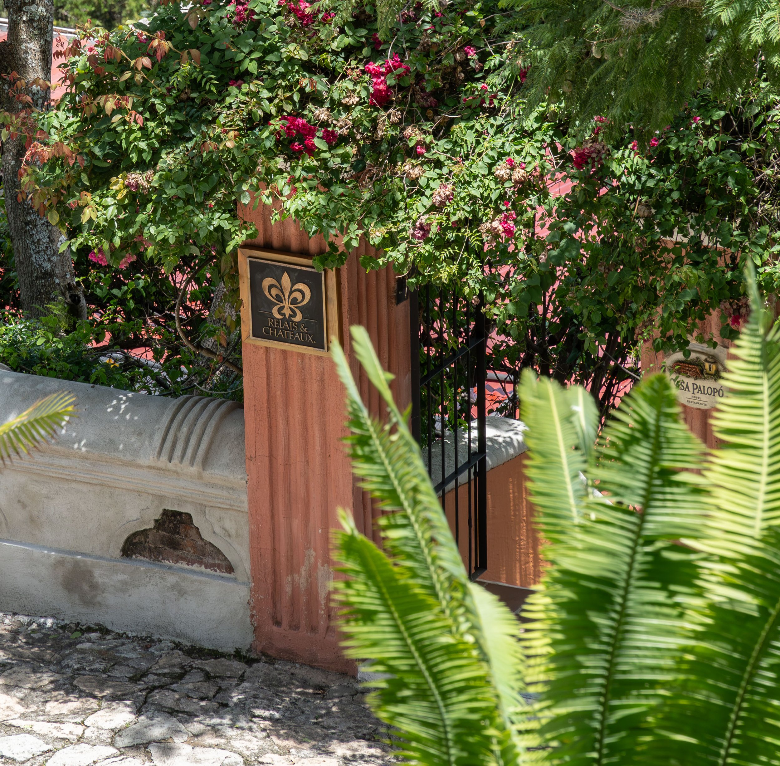 CASA PALOPÓ JARDINES entrada .jpg