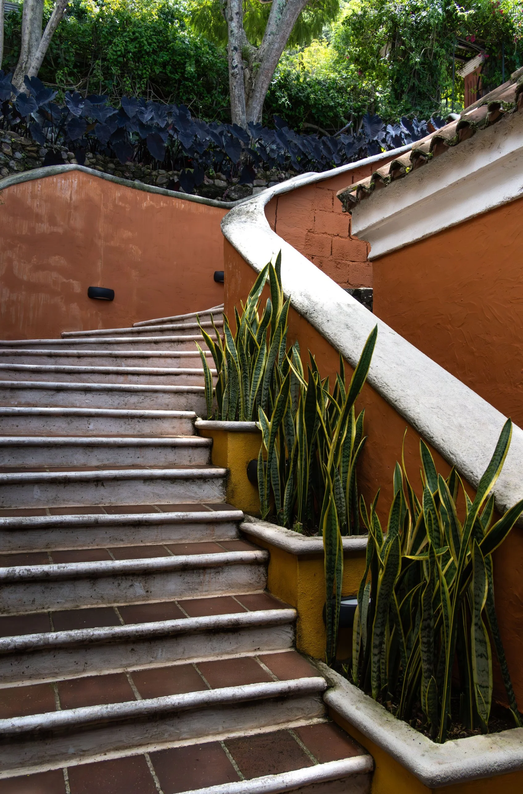CASA PALOPÓ JARDINES gradas.jpg