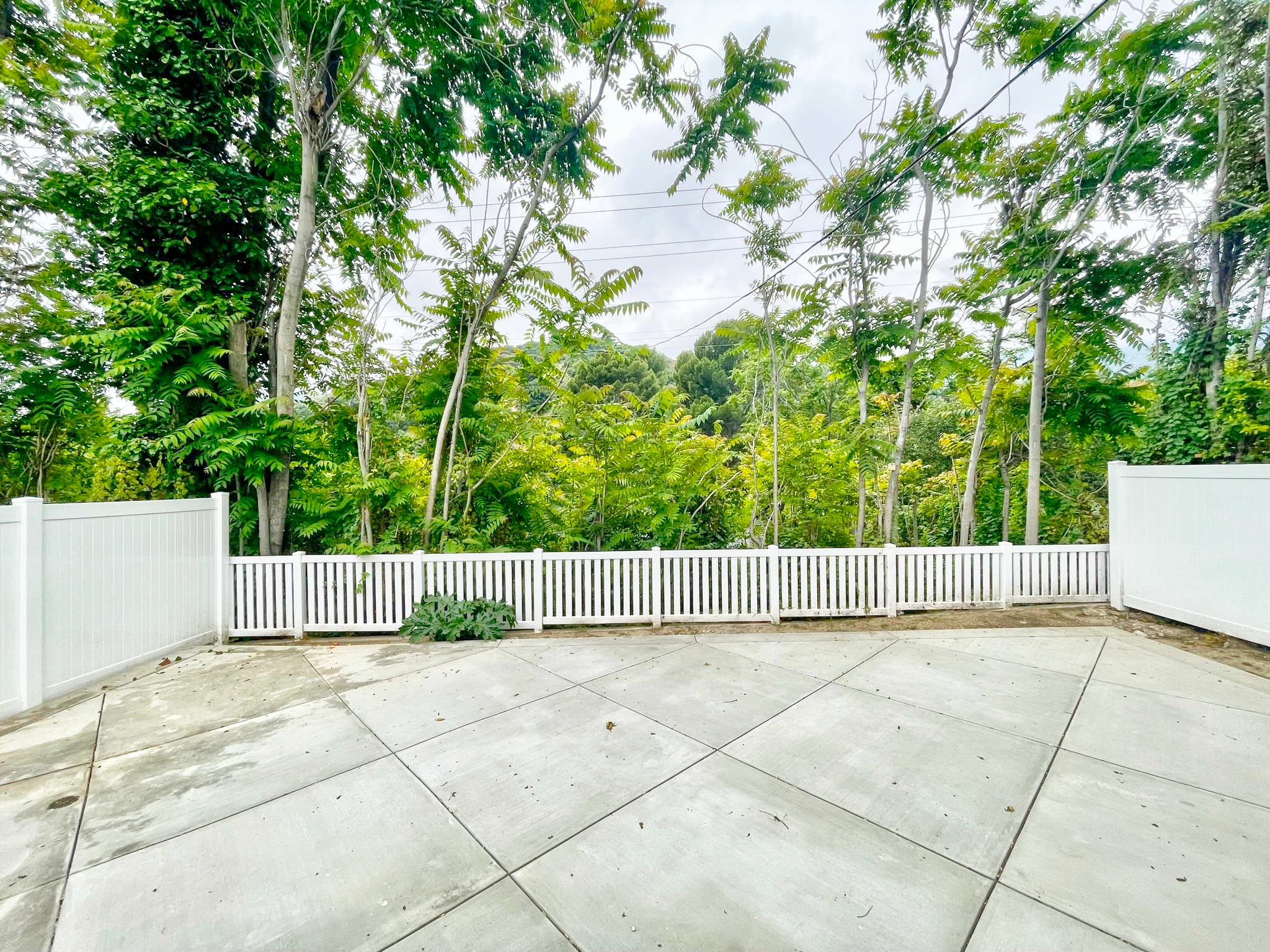 Full fence painting and staining in Los Angeles — outdoor painting service — Crystal Peak Construction Inc.