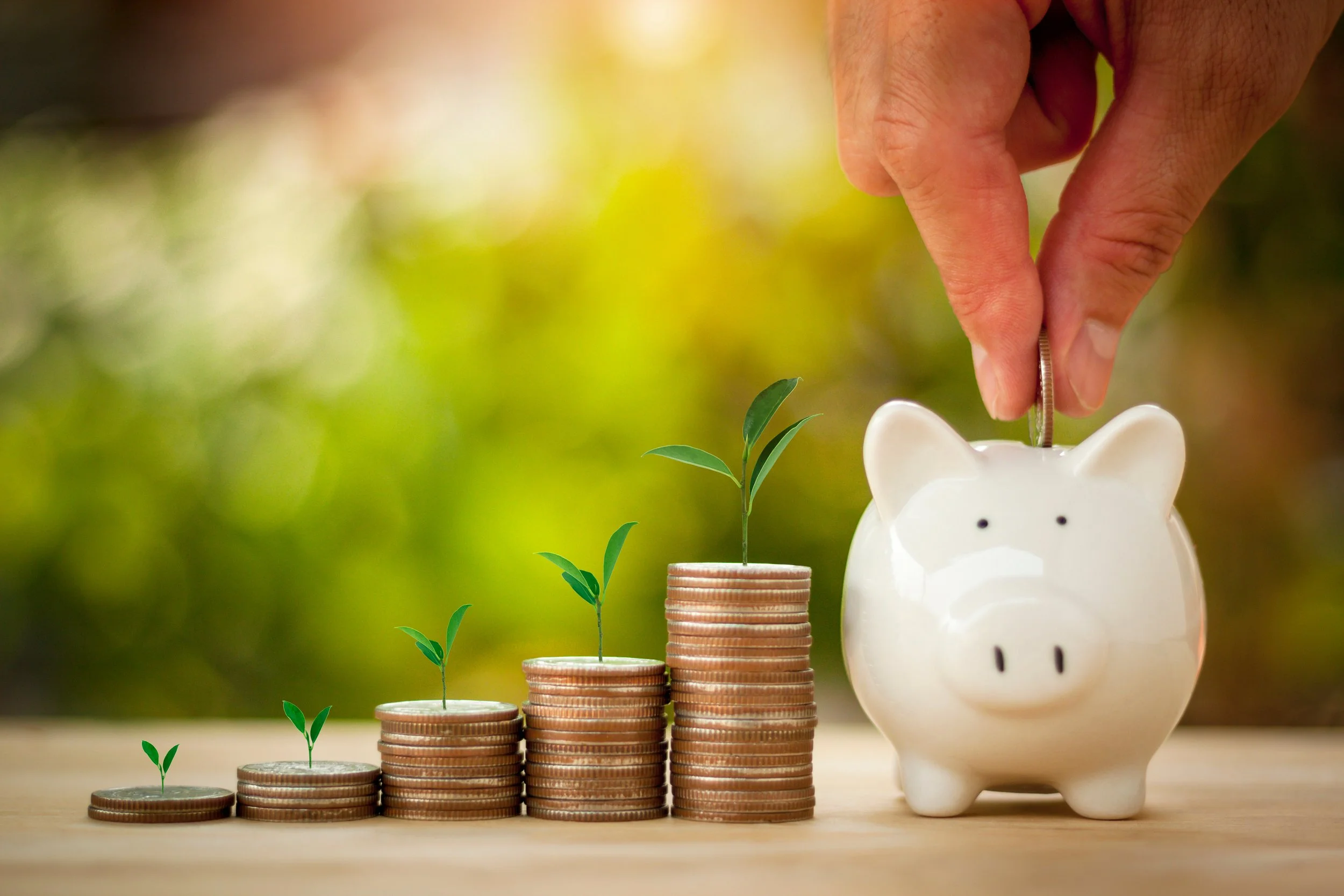 Piggy bank and growing savings representing how ClearHaven whole-home water filtration can help improve appliance efficiency, reduce household costs and lower utility bills in Perth homes.