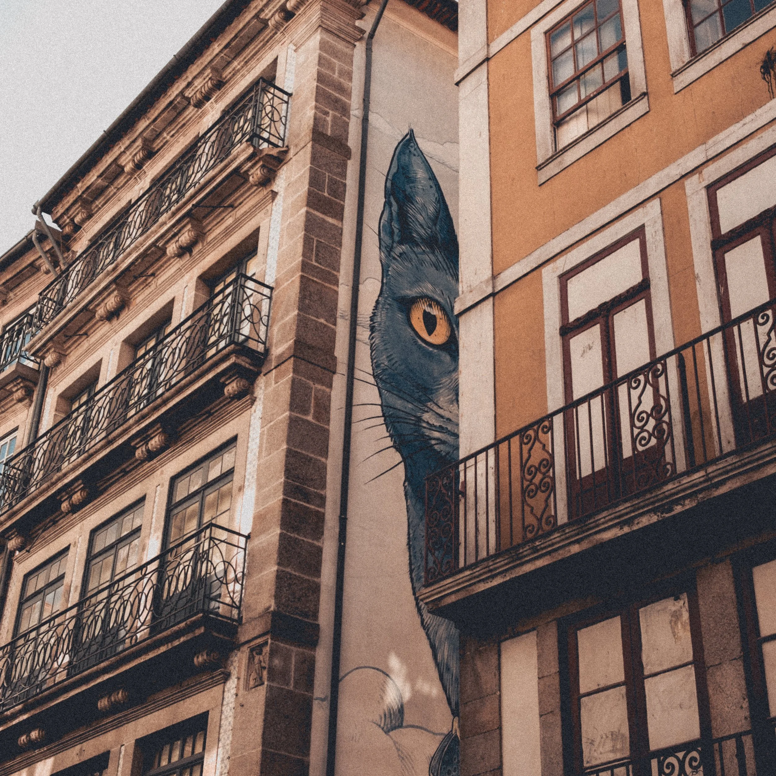 A mural of a cat's face peering from behind a building, painted on a narrow wall between two buildings with balconies and windows.