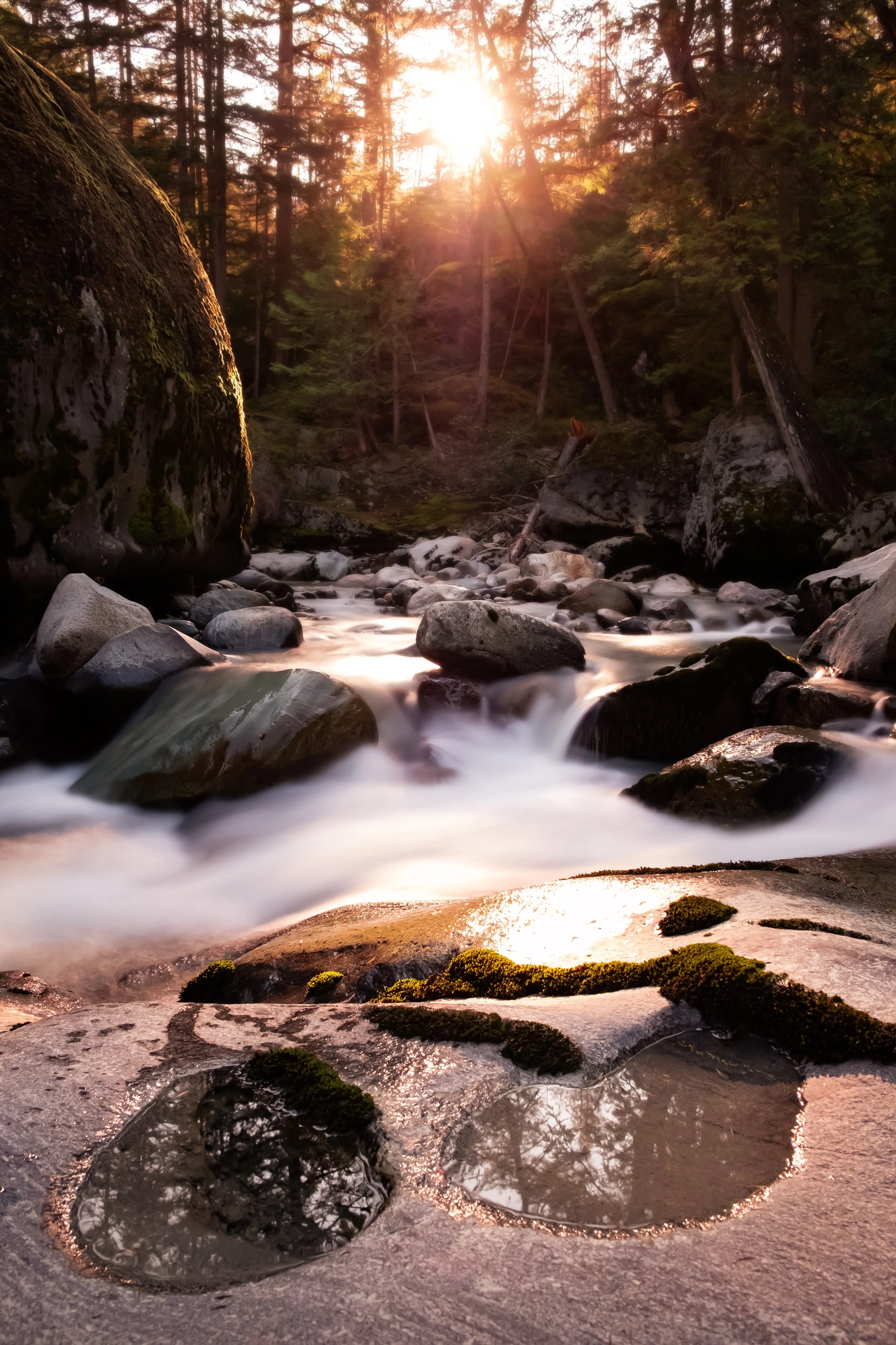 Sunset over a rocky stream in a dense forest with moss-covered rocks and trees.