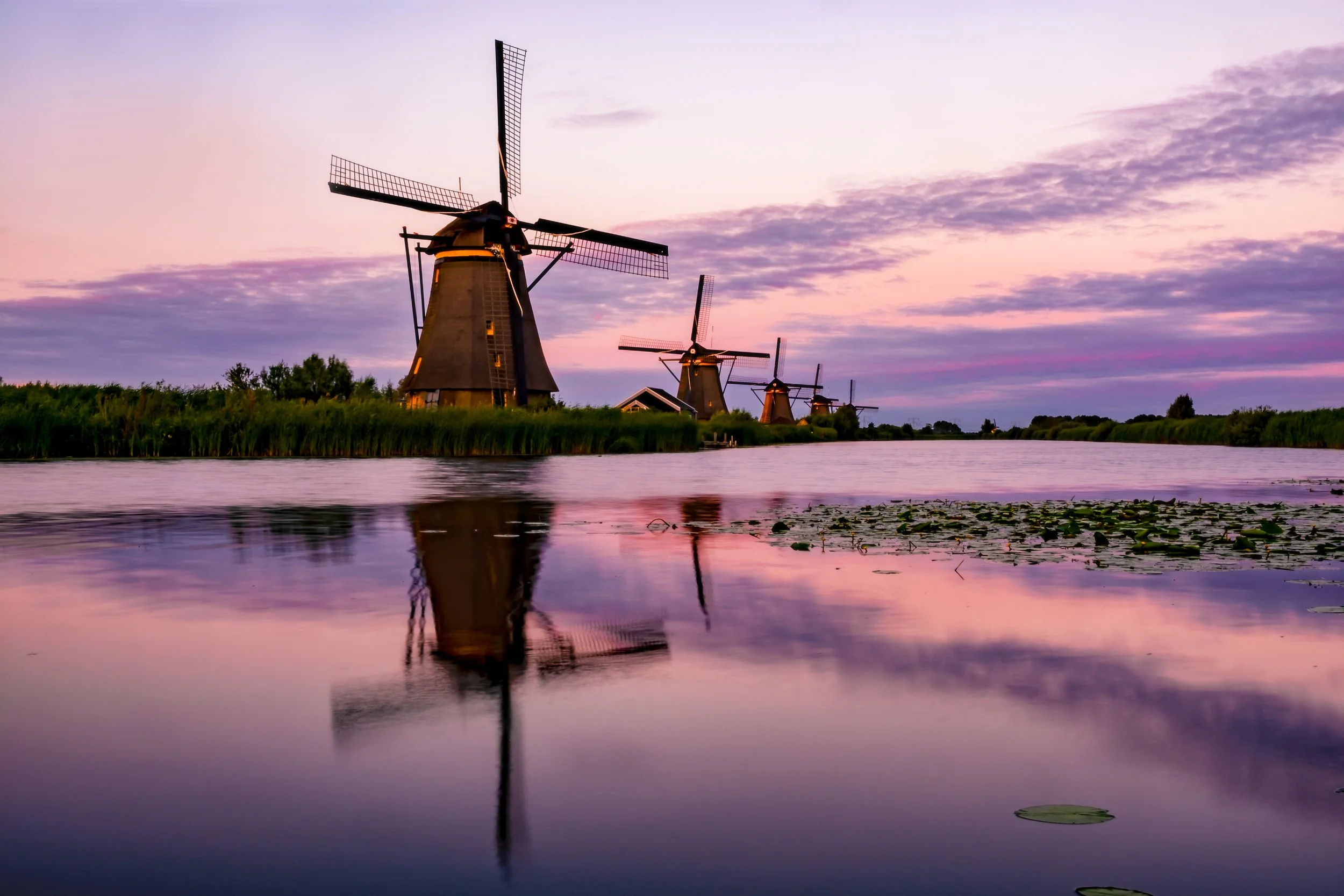 Four traditional Dutch windmills along a river during sunset with purple and pink sky, reflecting in the water with floating lily pads.