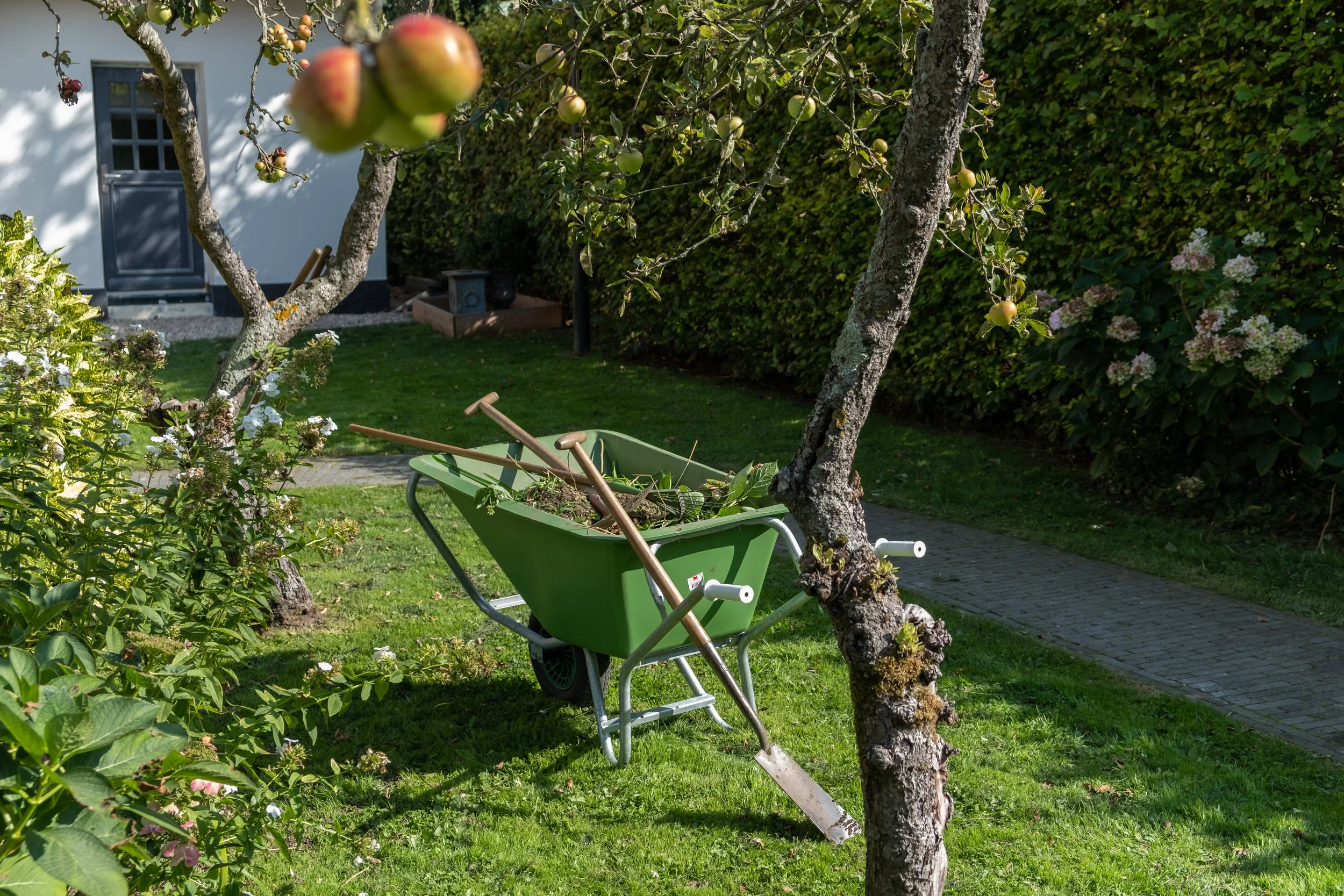 A green wheelbarrow filled with garden tools and debris, resting against a tree in a garden with green grass, flowering shrubs, and a small building in the background.