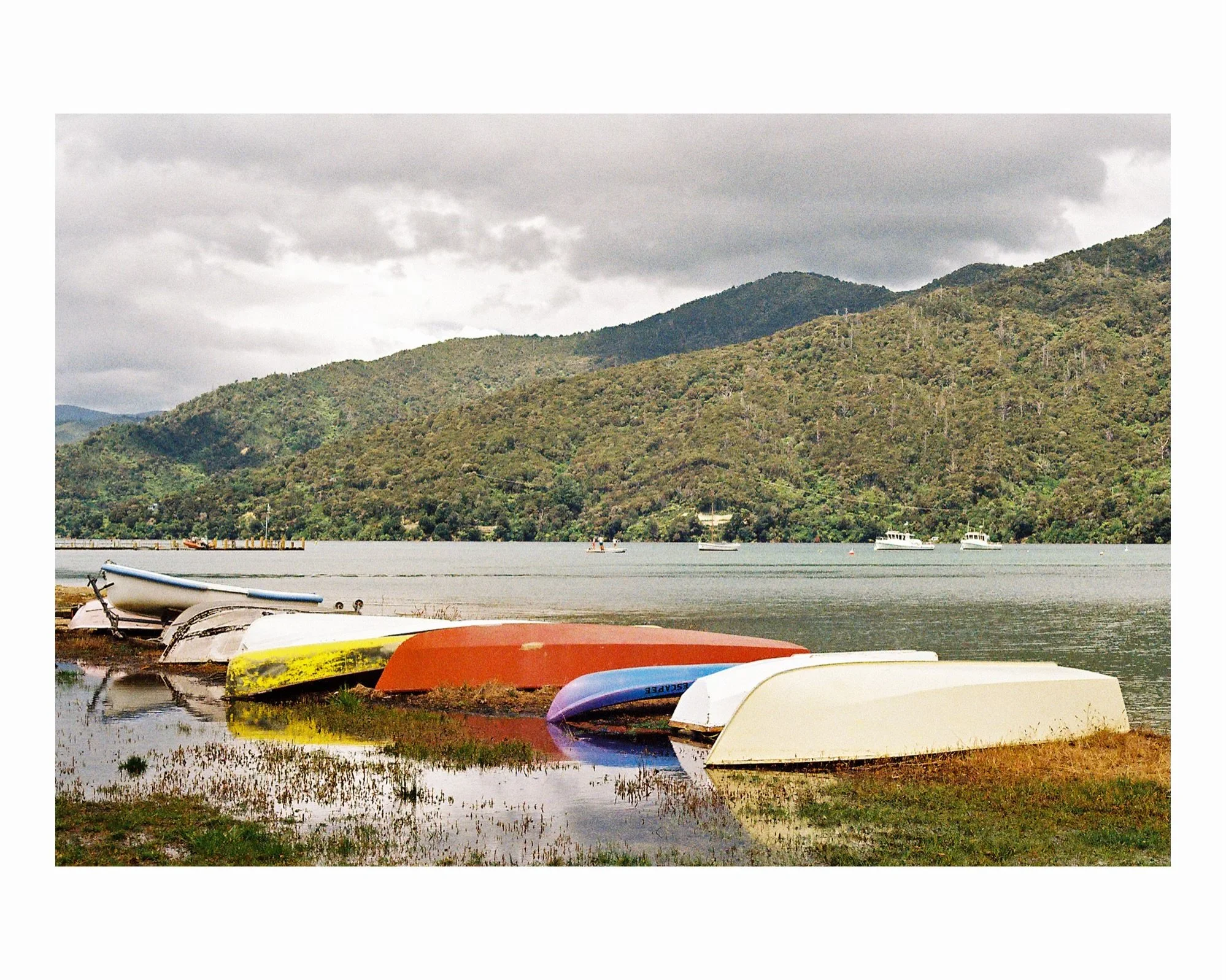 New Zealand on film
📍 Anakiwa
📷 Minolta 300-X
🎞️ Kodak Gold 200

#newzealand #photography #filmphotography #kodak #marlborough