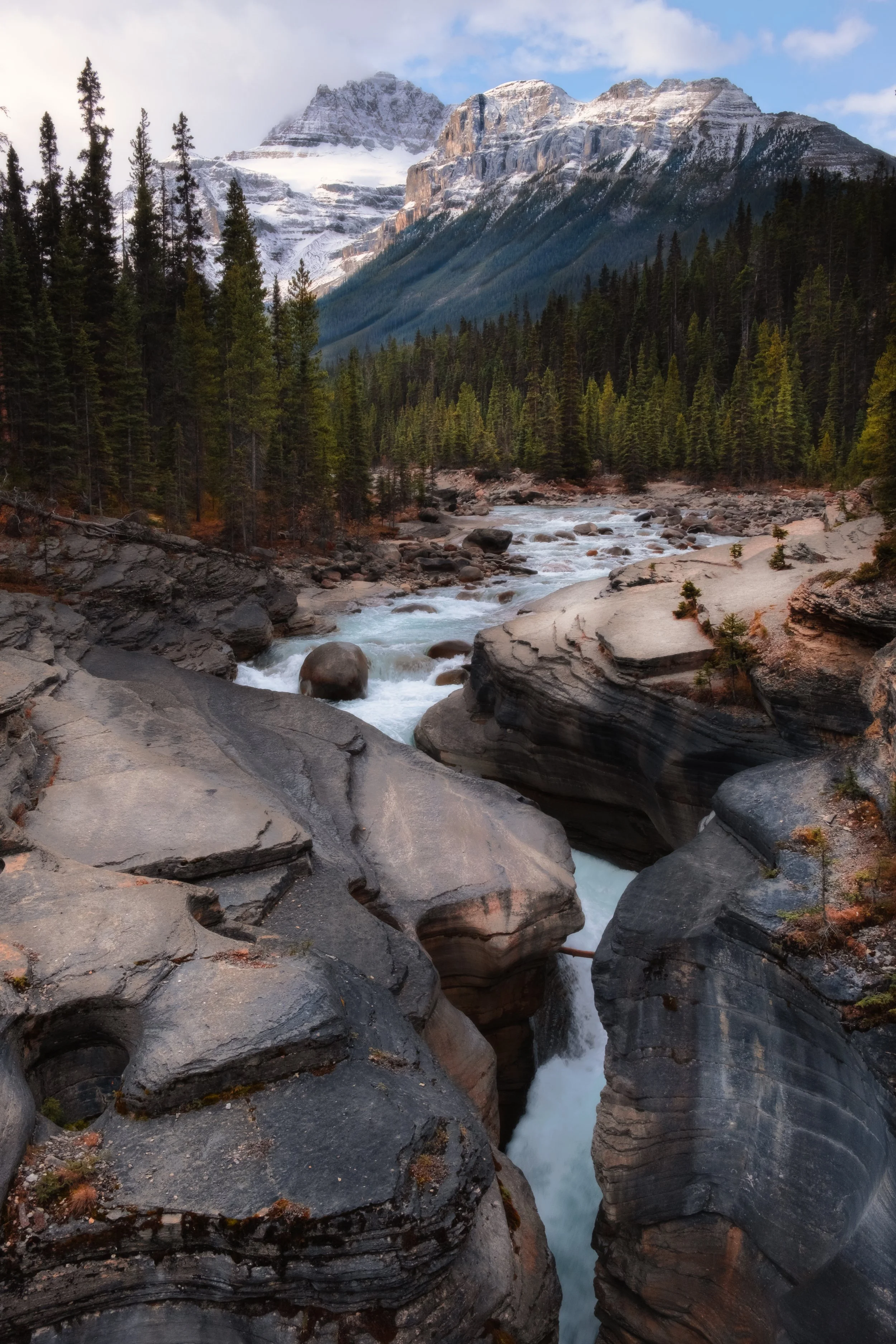 A scenic view of a river flowing through a canyon surrounded by pine trees, with snow-capped mountains in the background.