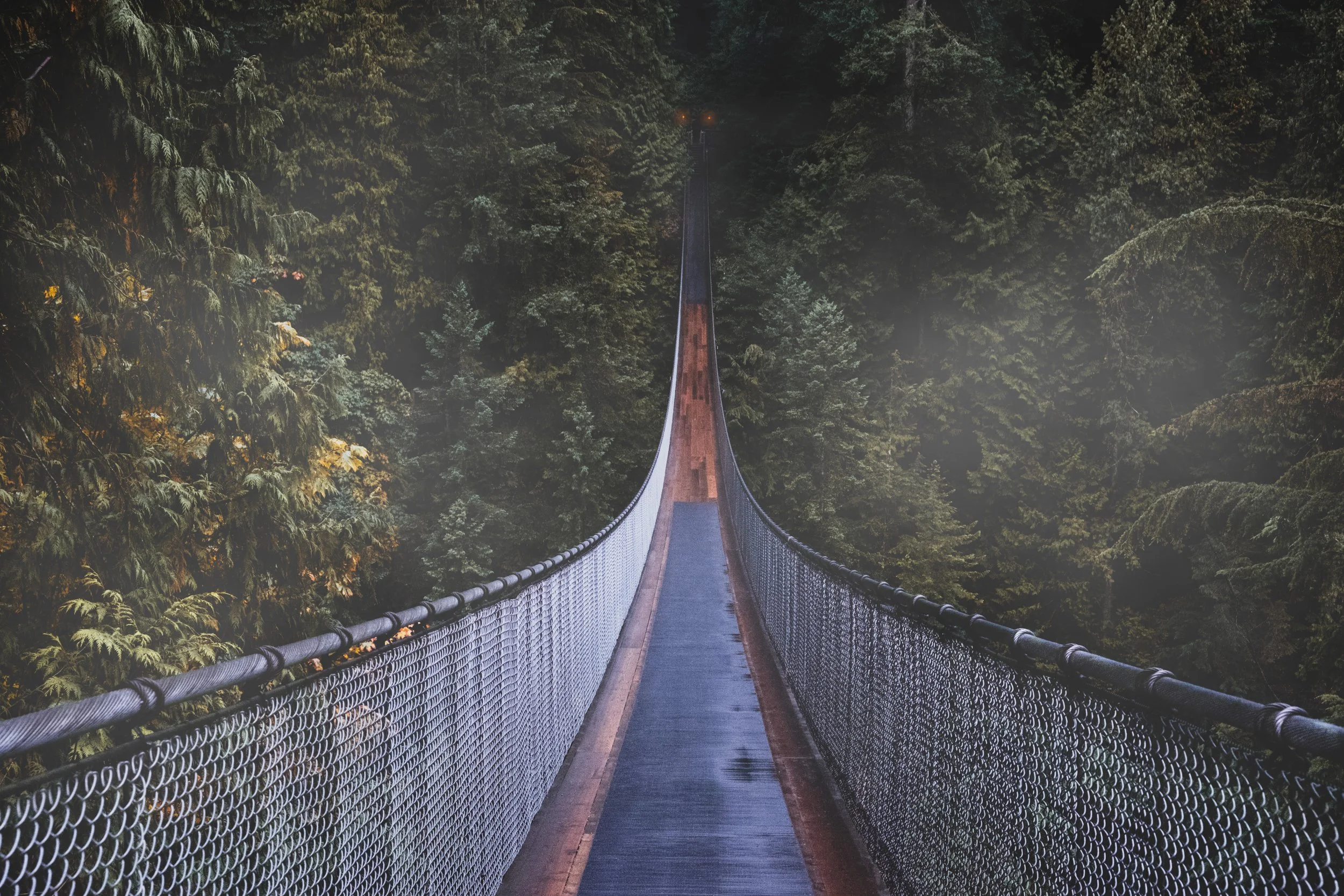 A suspensive bridge extending into a foggy forest with dense green trees.