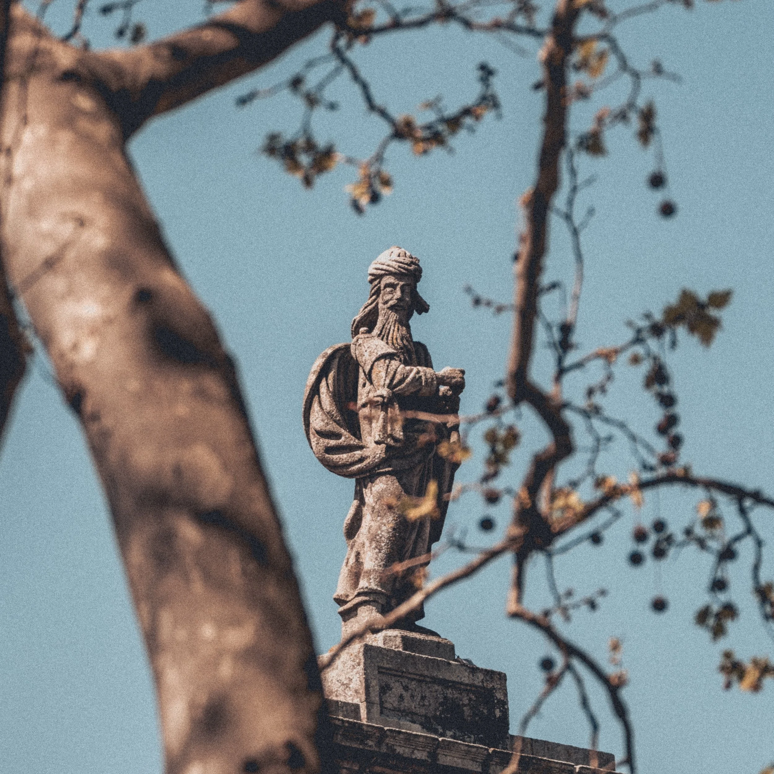 Statue of a historical figure dressed in traditional clothing, standing on a stone pedestal, framed by tree branches with leaves and berries against a clear sky.