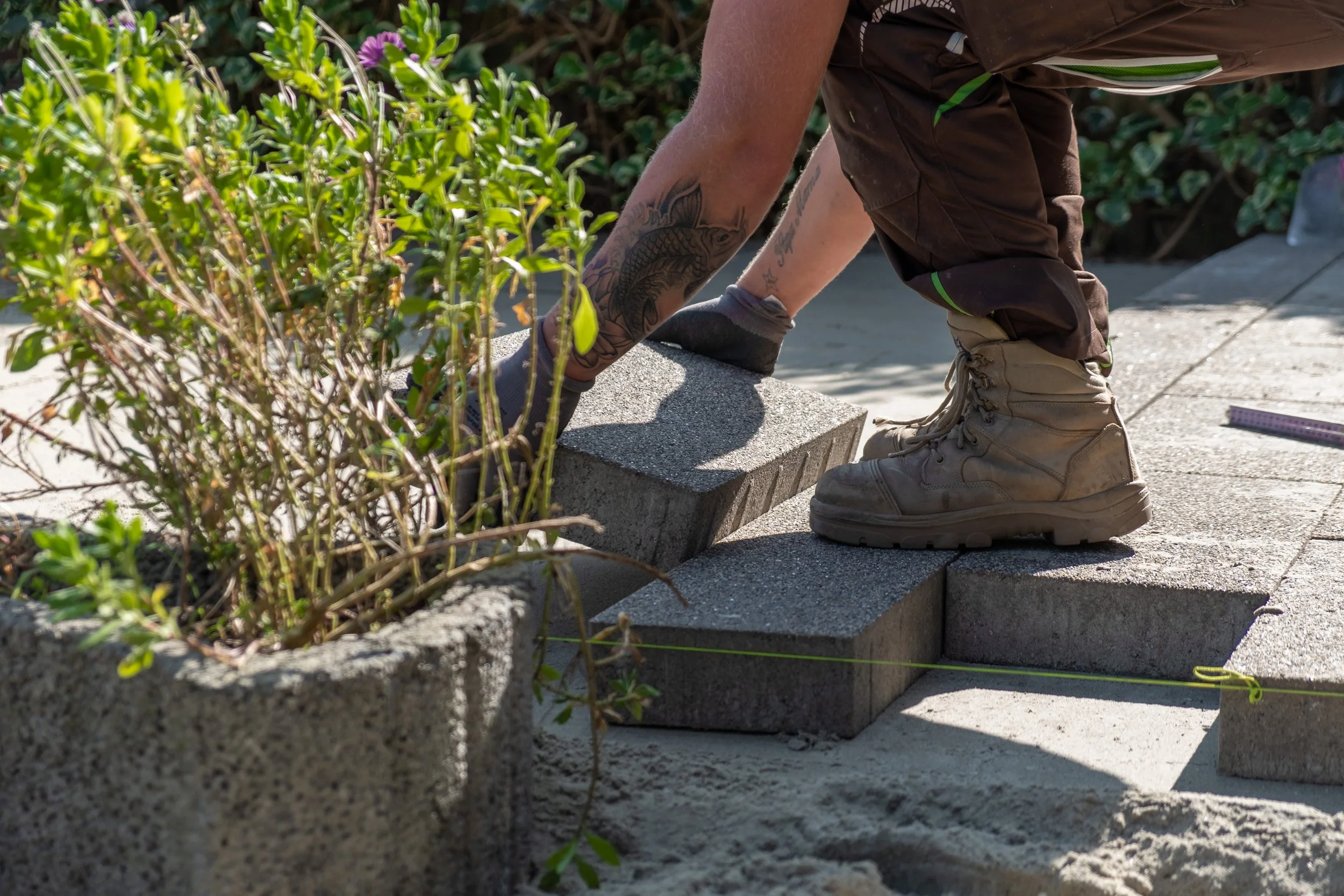 A person installing concrete pavers in a garden or outdoor area, wearing work boots, gloves, and leaning over to position a paver, with visible tattoos on their arm, surrounded by green plants and a string line for alignment.