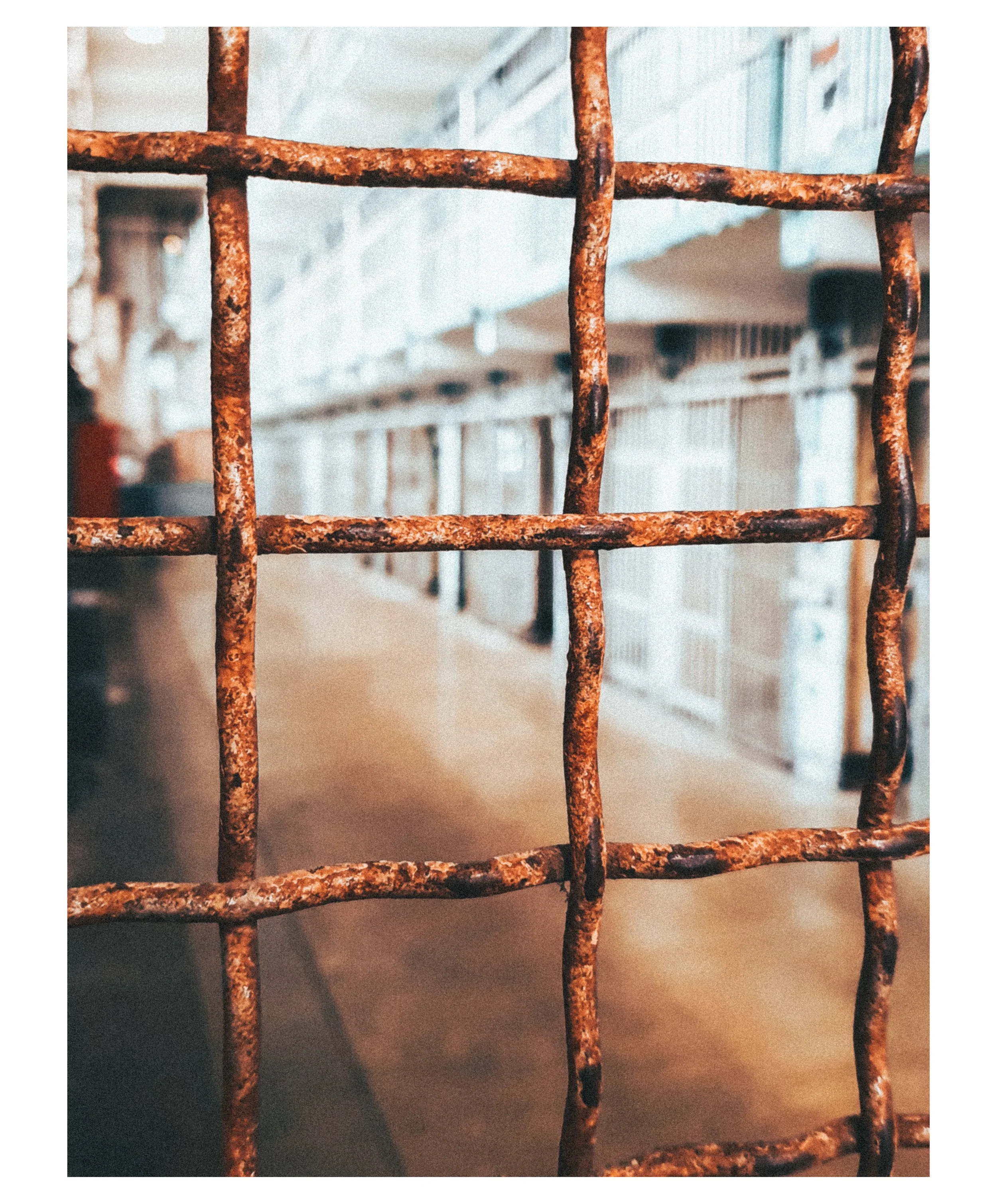 Close-up of a rusted metal grid or fence with an indoor setting visible through the grid, including blurred shelves and people in the background.