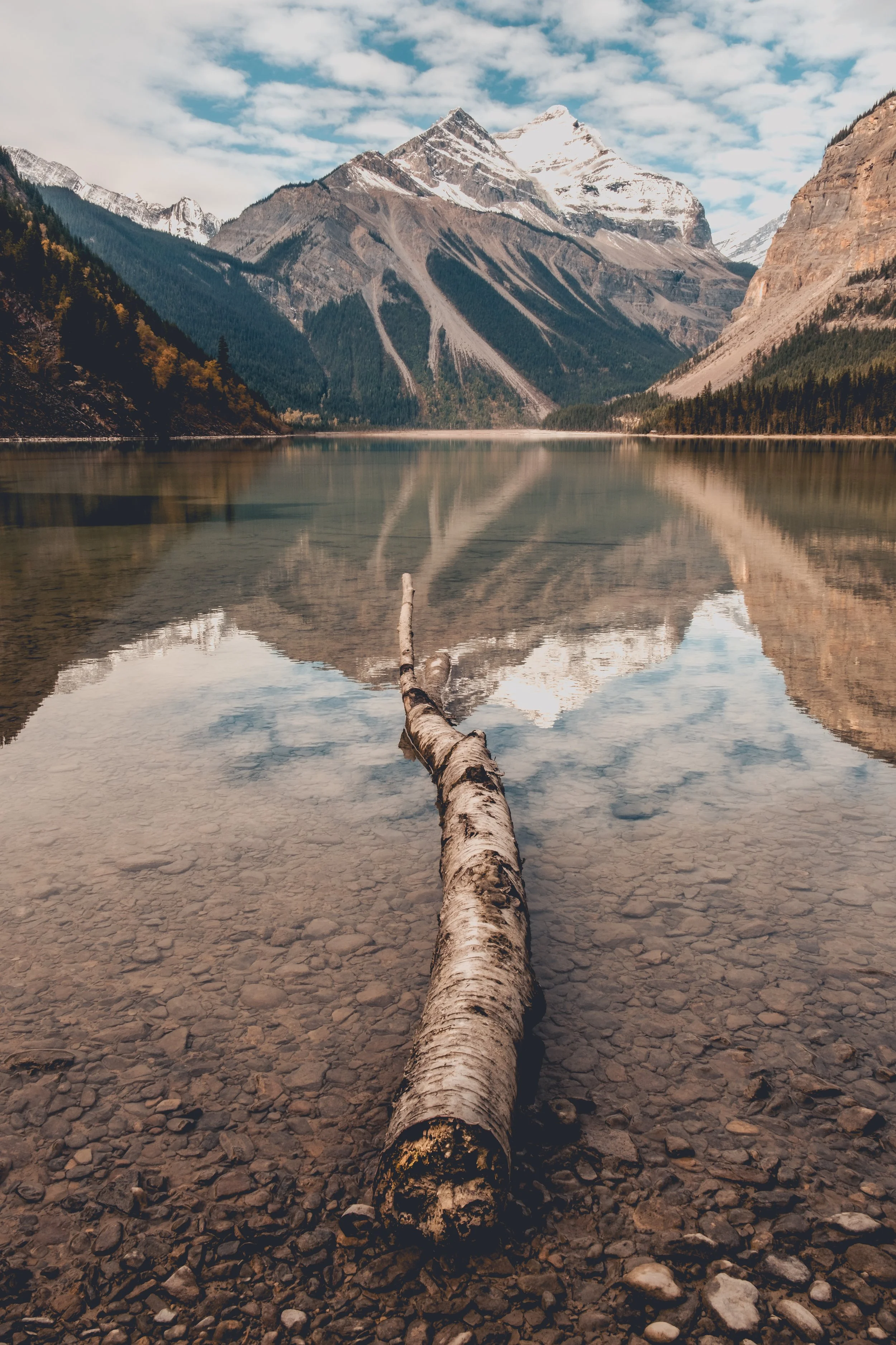 Scenic view of a mountain lake with snow-capped peaks in the background and a fallen tree in the clear water in the foreground.
