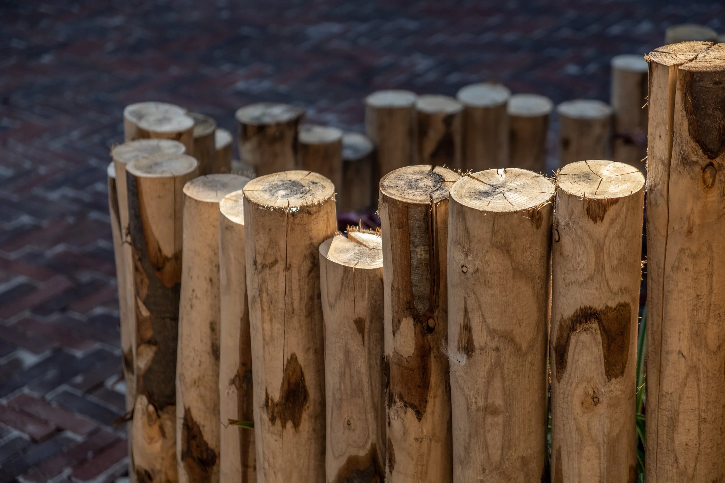 Close-up of cut wooden logs arranged vertically on the ground.