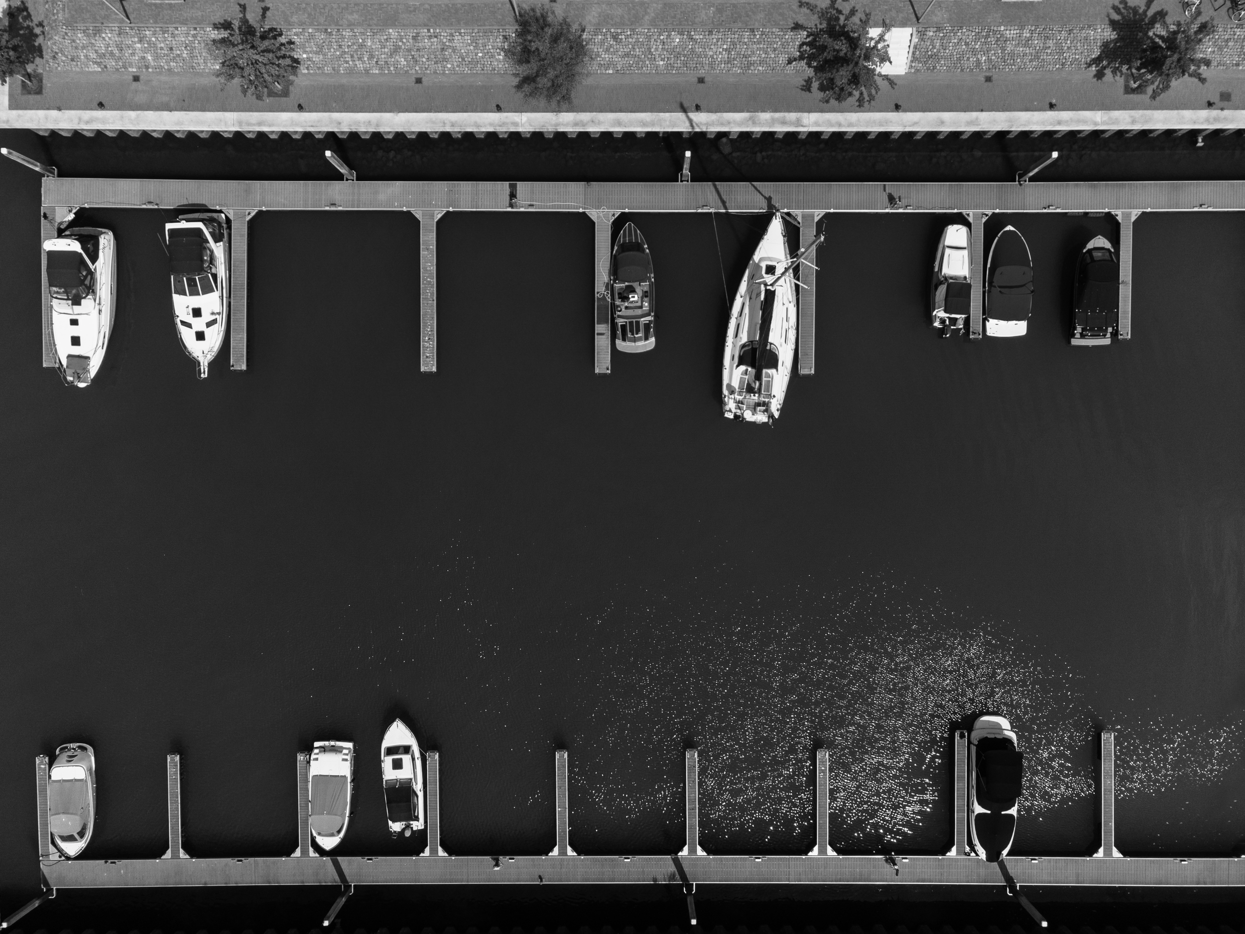 Aerial black and white photo of boats in a marina docked in designated slips along the water's edge, with a paved walkway and trees above.