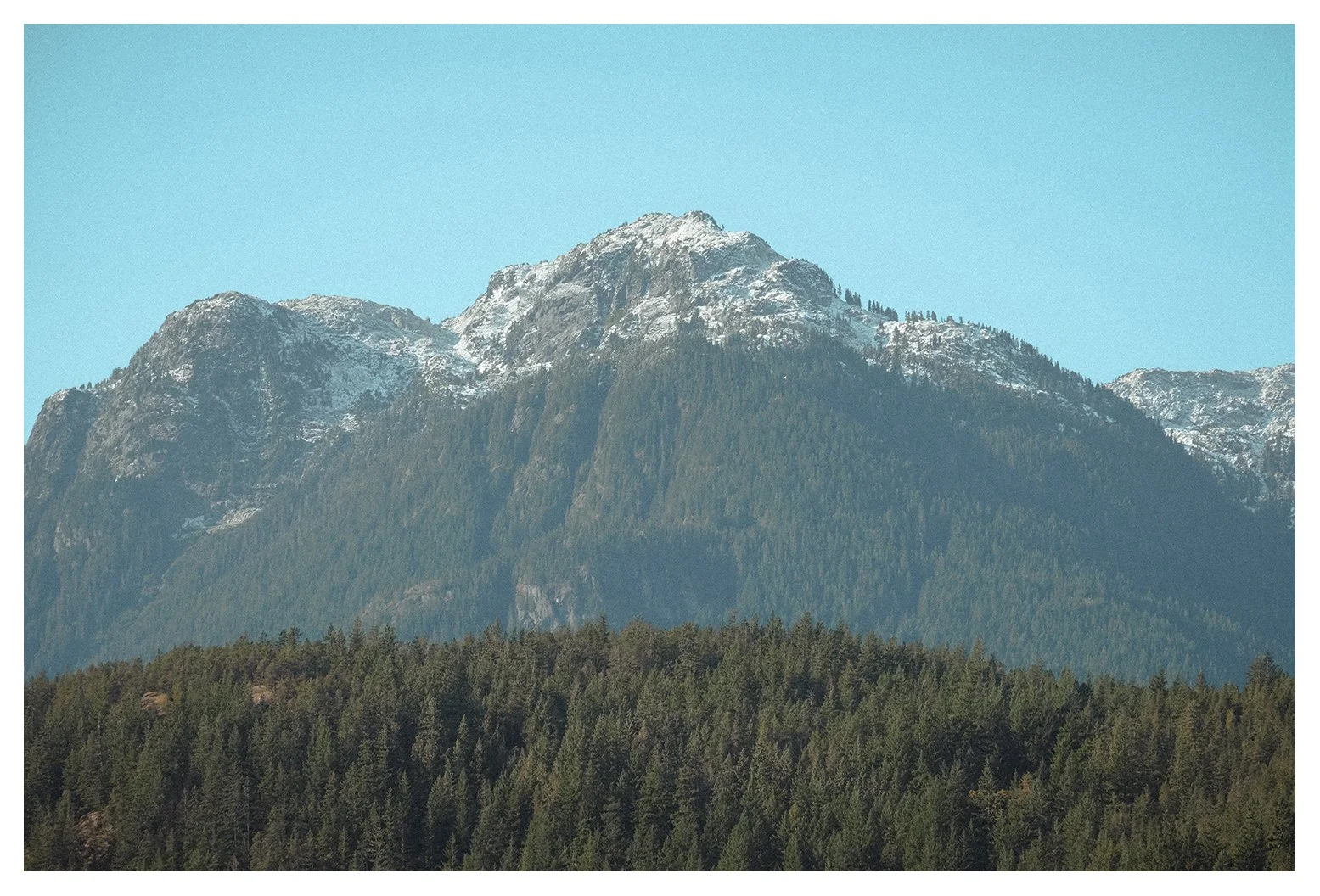 Snow-capped mountain peaks above a dense forest of evergreen trees under a clear blue sky.
