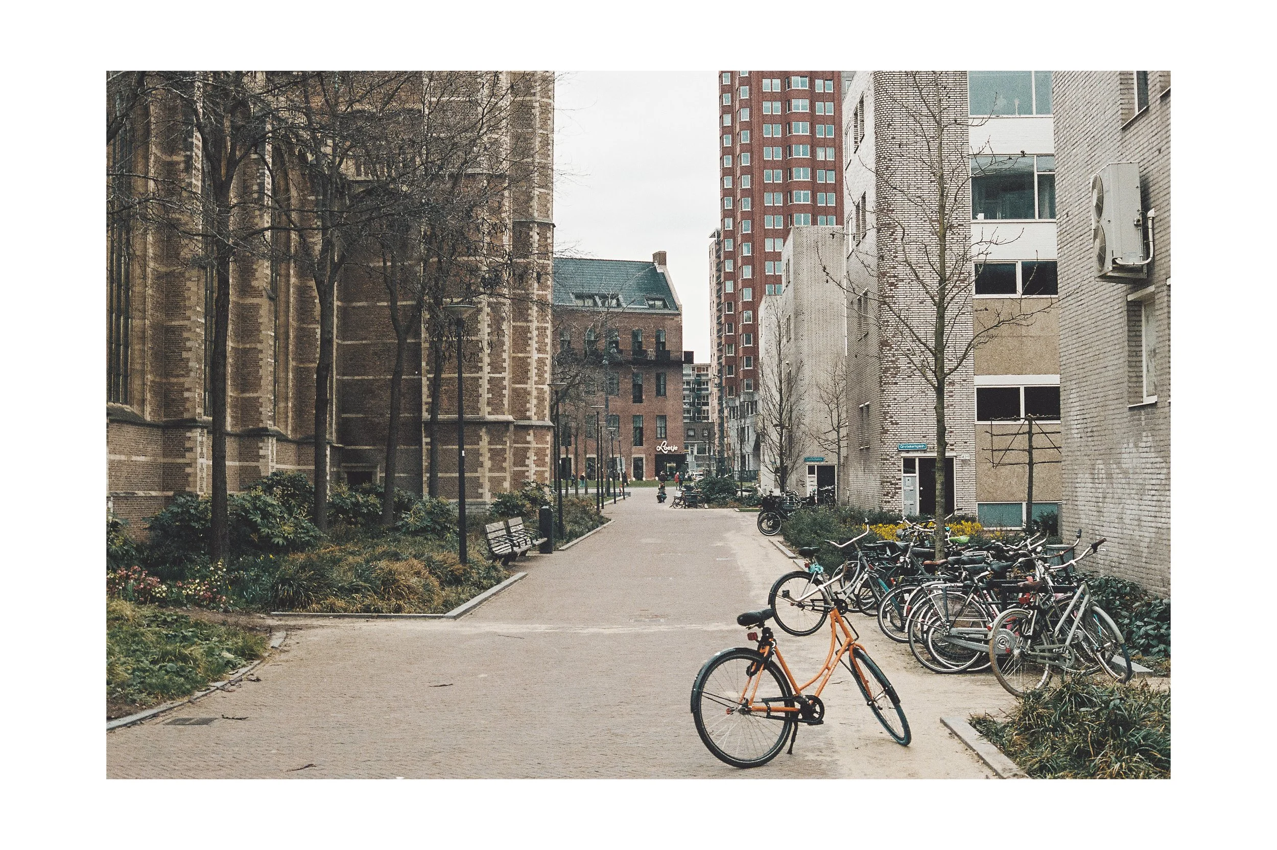 Urban scene with a bicycle in the foreground, parked bikes along the right, and tall buildings in the background, with bare trees and benches along a paved pathway.