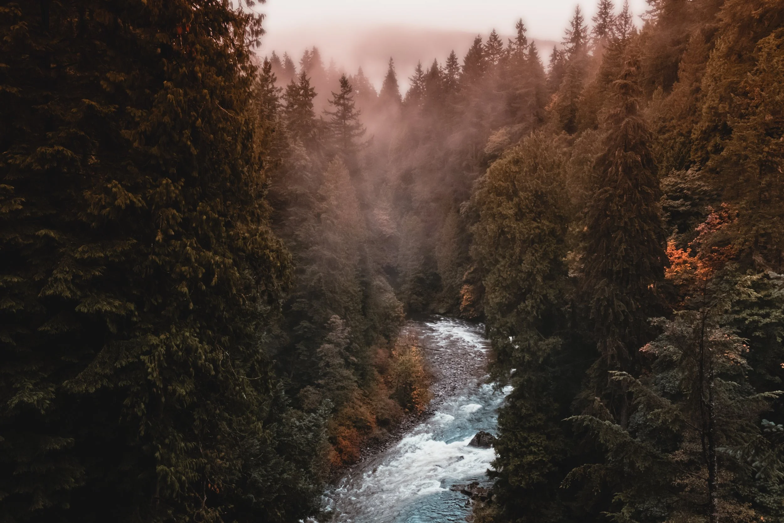 A narrow river flowing through a dense forest with tall trees, mist rising above the trees, and a hazy sky indicating early morning or late evening.