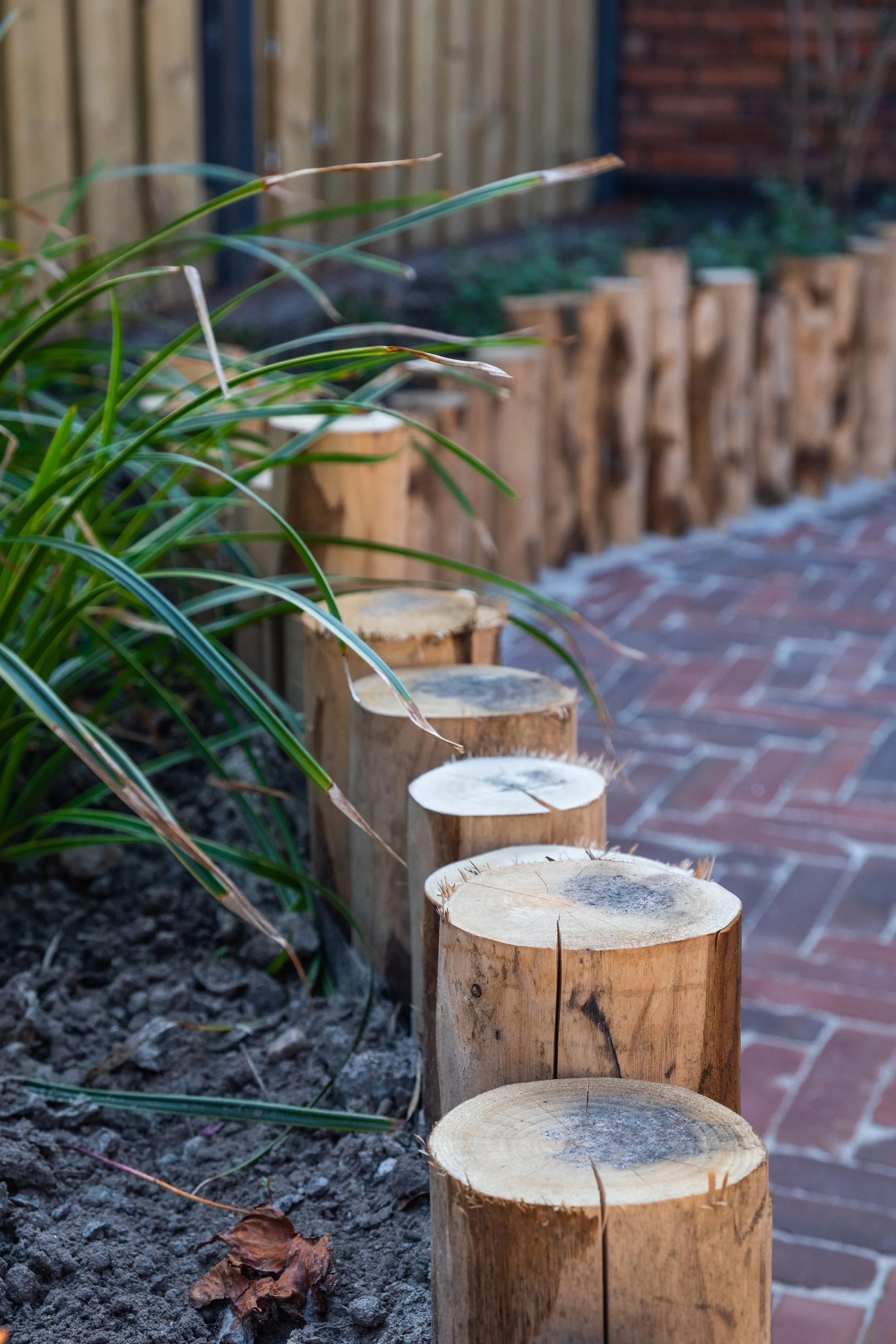 Close-up of cut tree stumps placed along a garden bed with green plants, next to a brick pathway and a wooden fence.