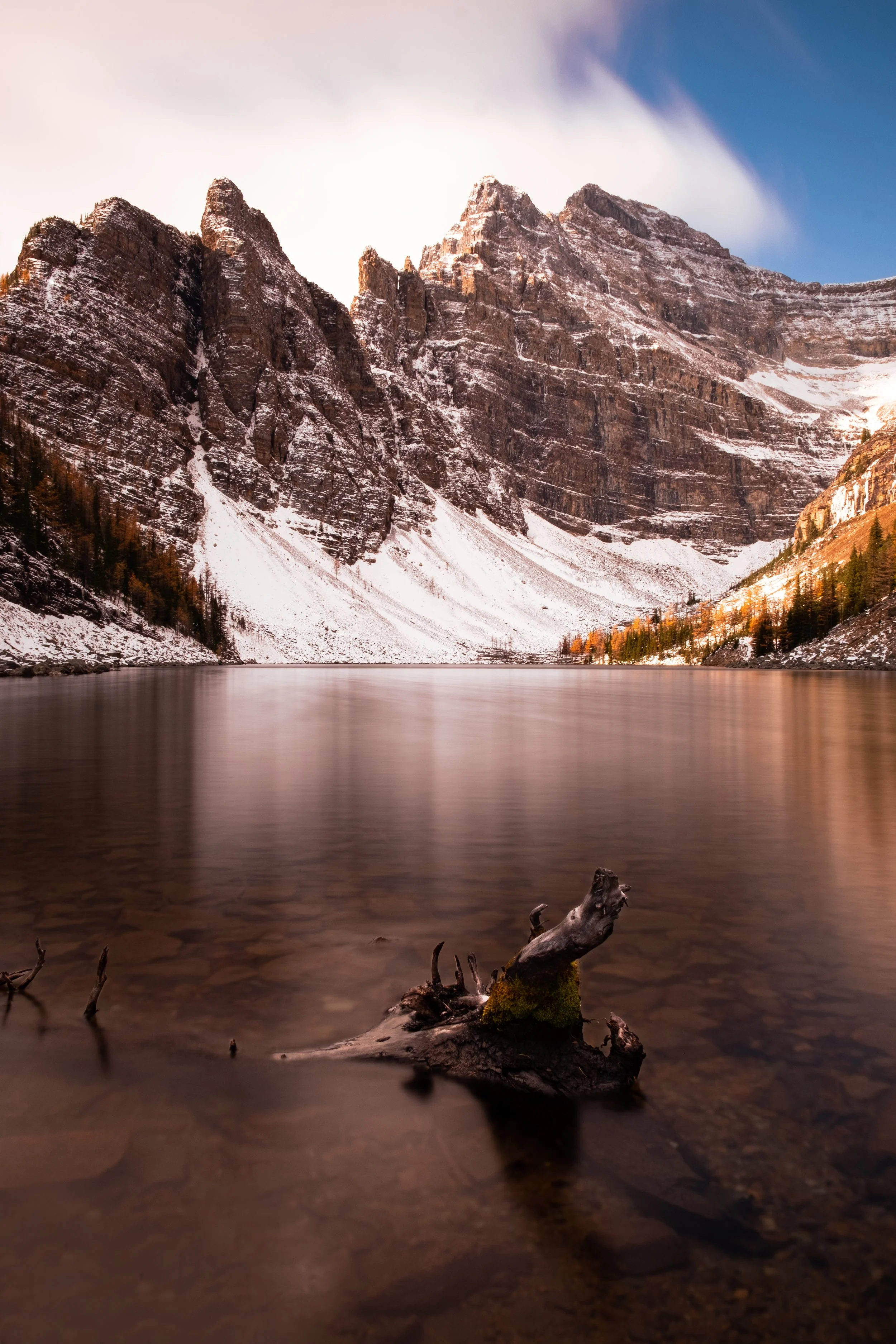 A serene mountain landscape with a calm lake, snow-capped peaks, and a moss-covered driftwood in the foreground.