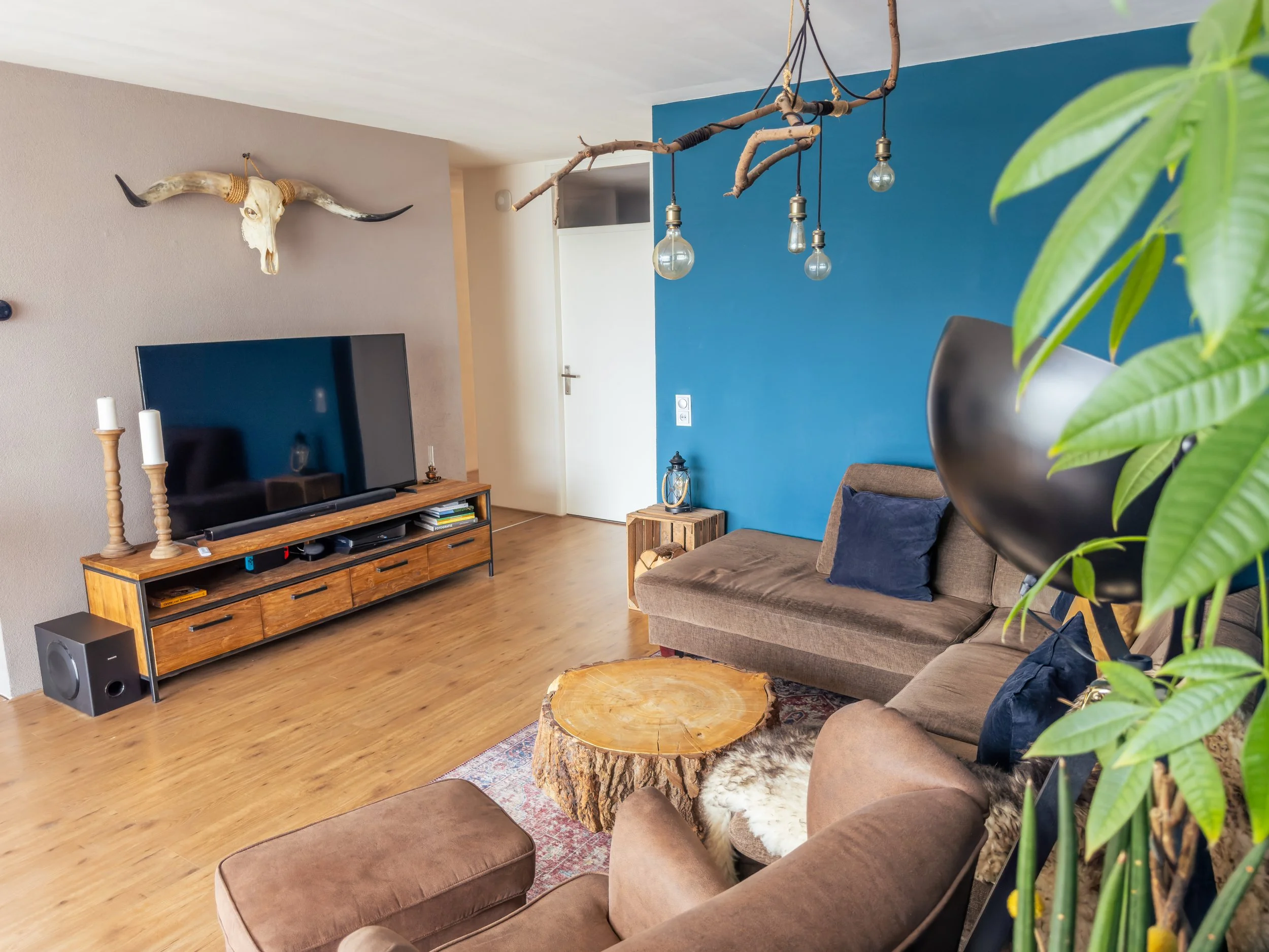 Living room with hardwood floor, brown couch, blue accent wall, wooden TV stand with large flat-screen TV, decorative skull with horns on the wall, hanging light fixture with branches and light bulbs, potted plant in the foreground, and other decorat