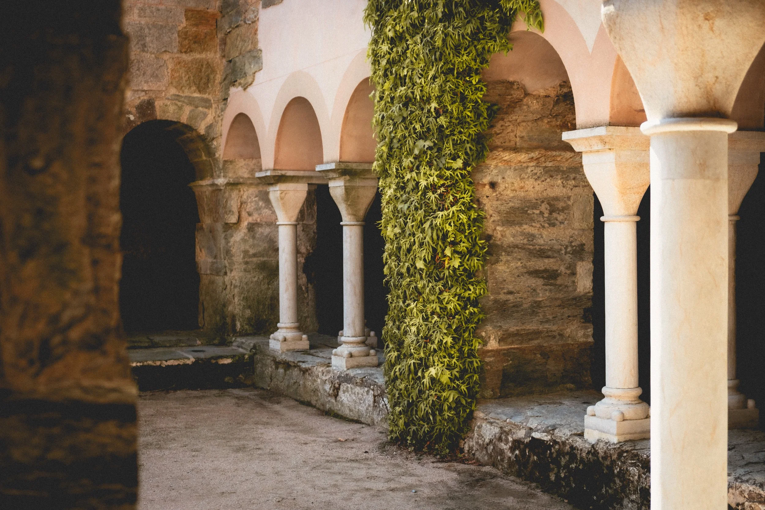 A stone wall with arched alcoves supported by white columns, and a green vine hanging down between the columns.