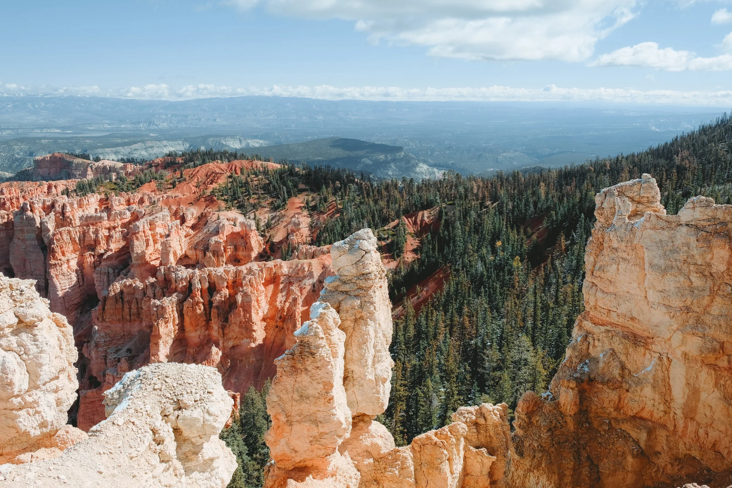A scenic view of Bryce Canyon with tall, orange and white rock formations and a dense forest of pine trees, under a partly cloudy sky.