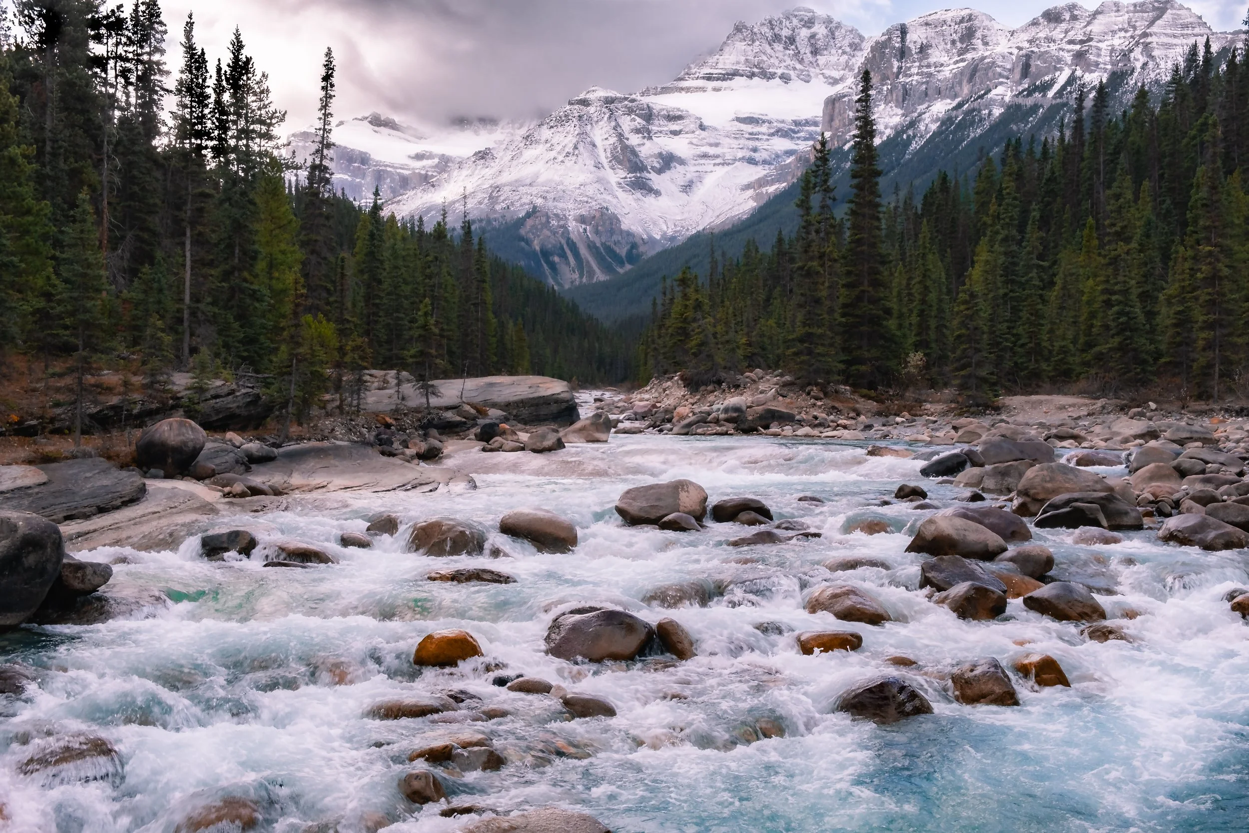 A mountain landscape with snow-capped peaks in the background, a dense forest of tall green pine trees, and a flowing river with rocks in the foreground.