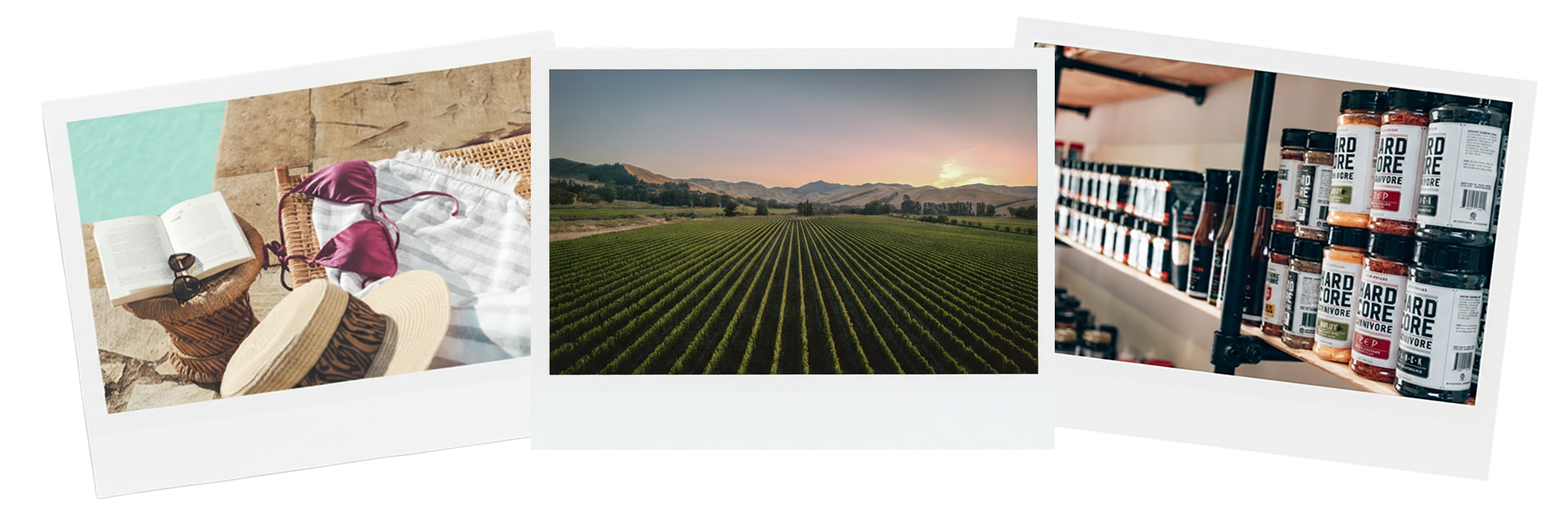 A collage of three photos: a person relaxing on a poolside with a book, sunglasses, and a hat; a farm field with rows of crops at sunset; shelves stocked with bottles of hot sauce.