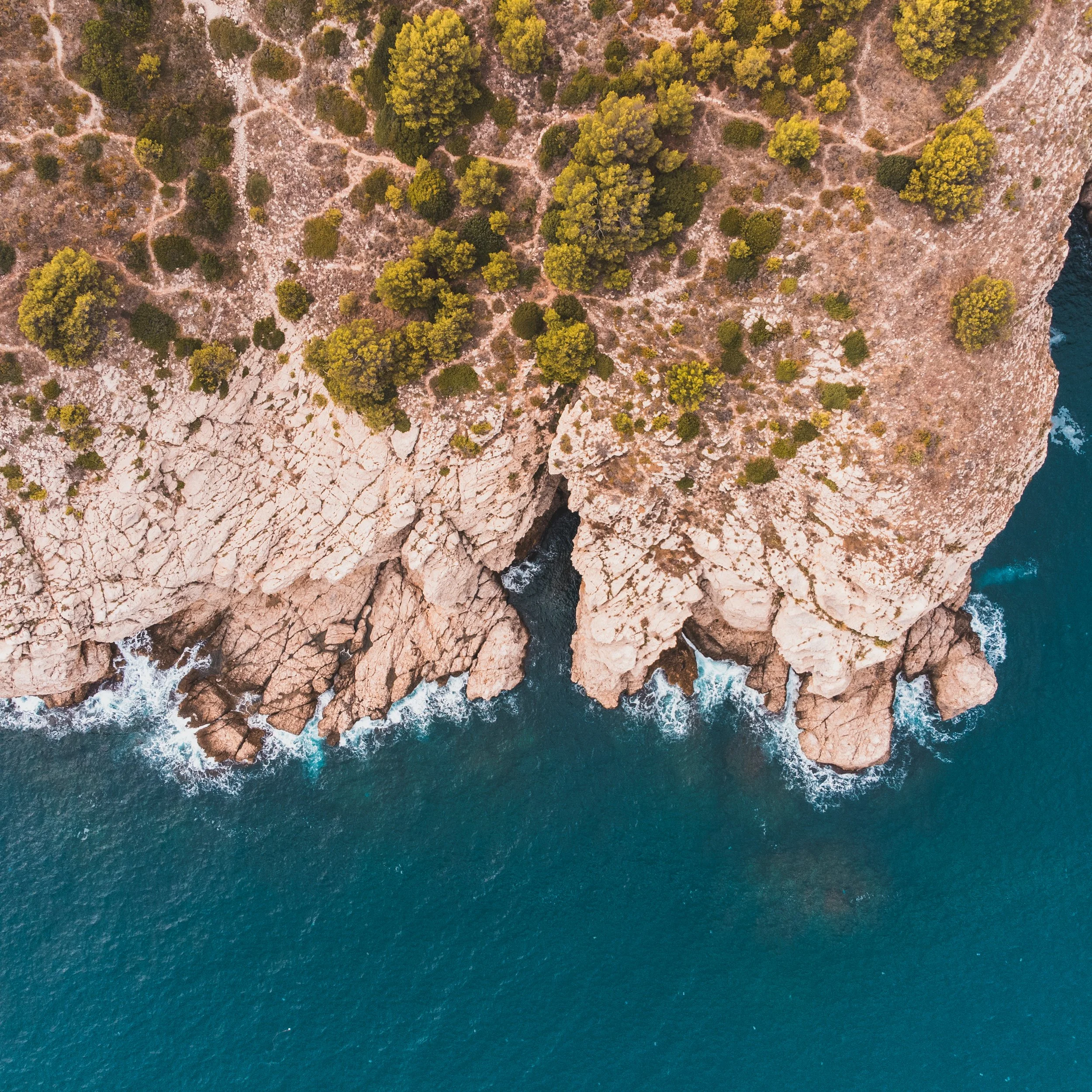 An aerial view of rugged cliffs with green trees, meeting the blue ocean waves below.