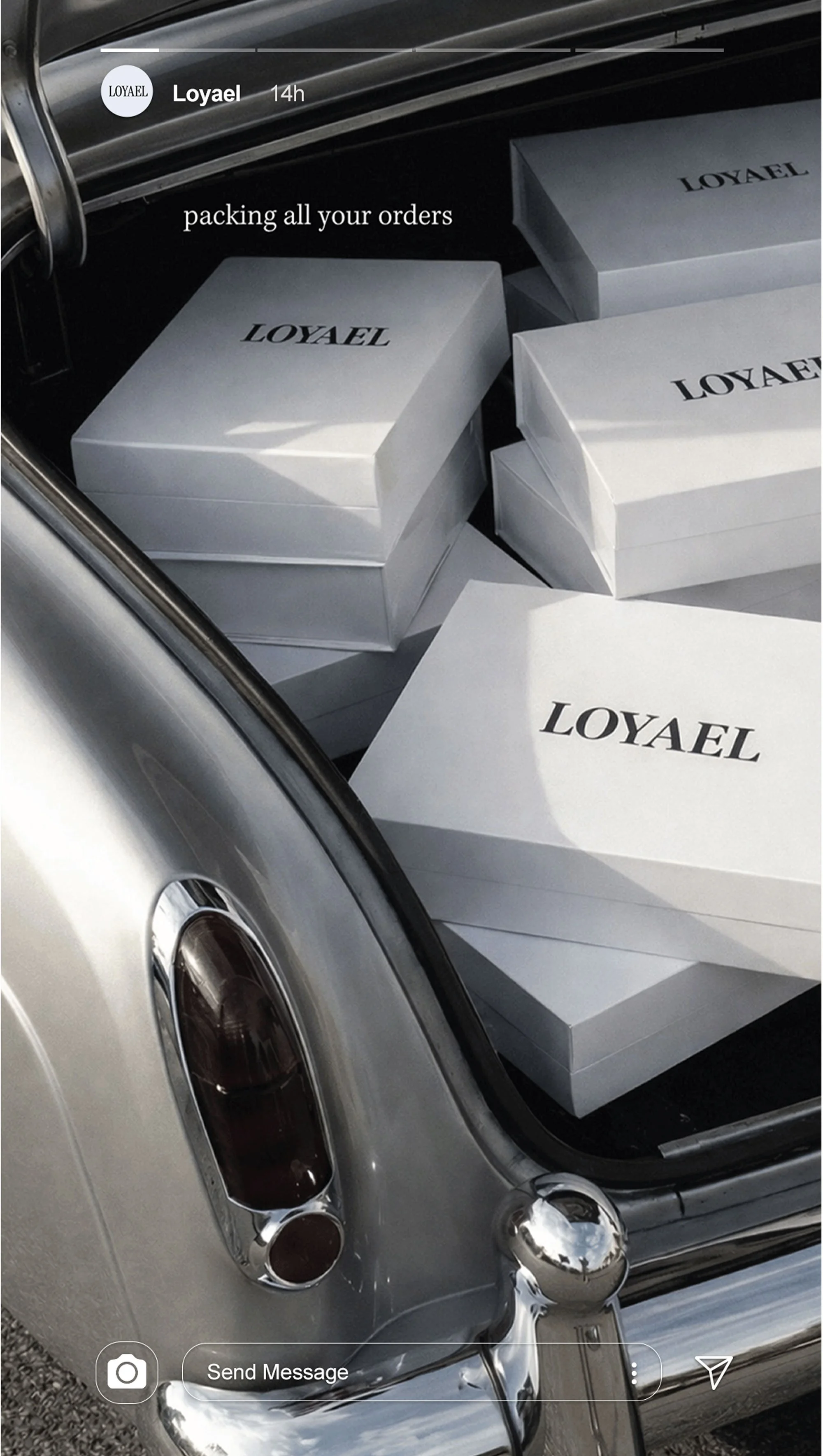 Loyael Dog Shampoo