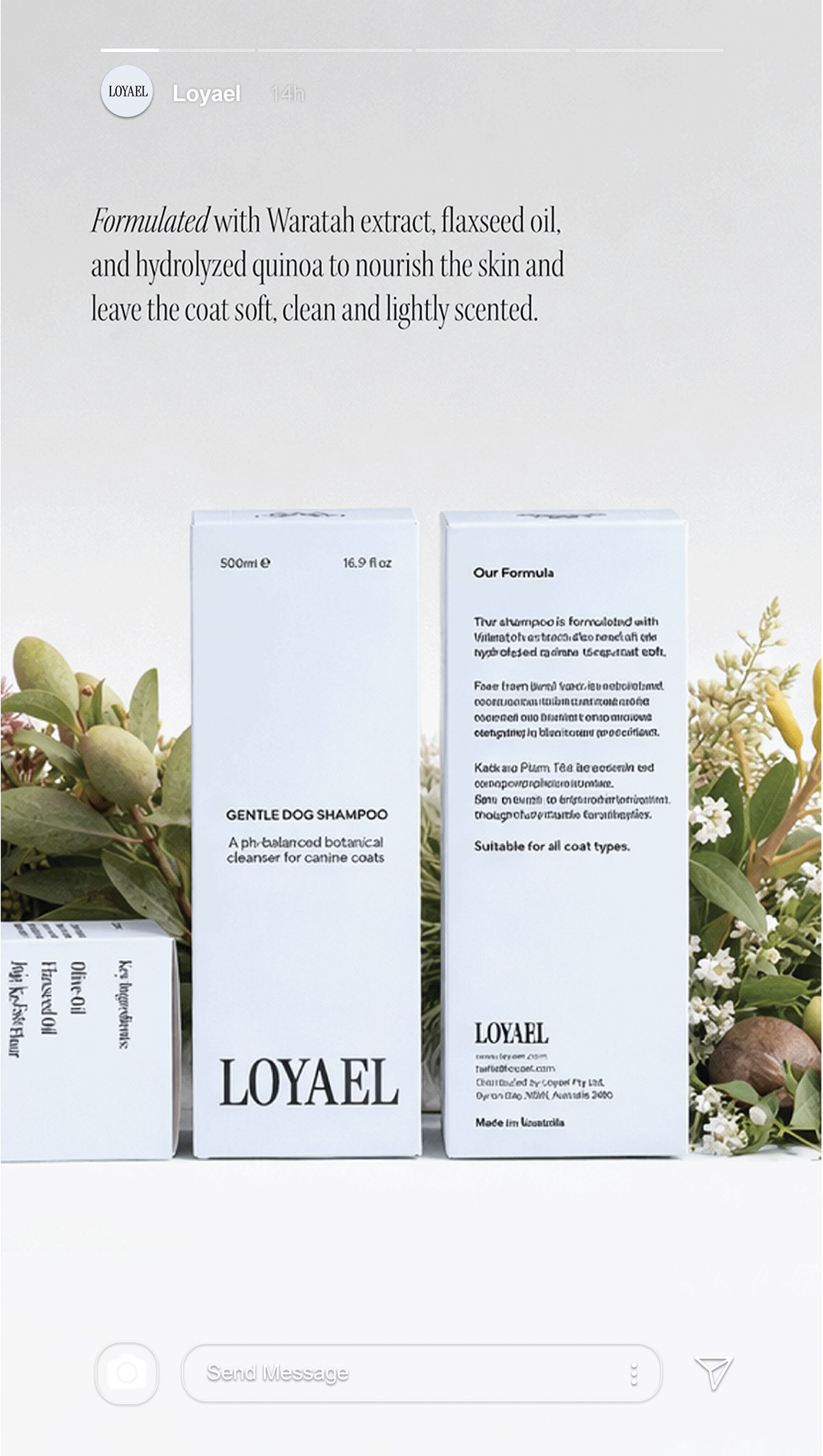 Loyael Dog Shampoo