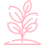 Abstract pink plant-like design with curved lines and leaf shapes.
