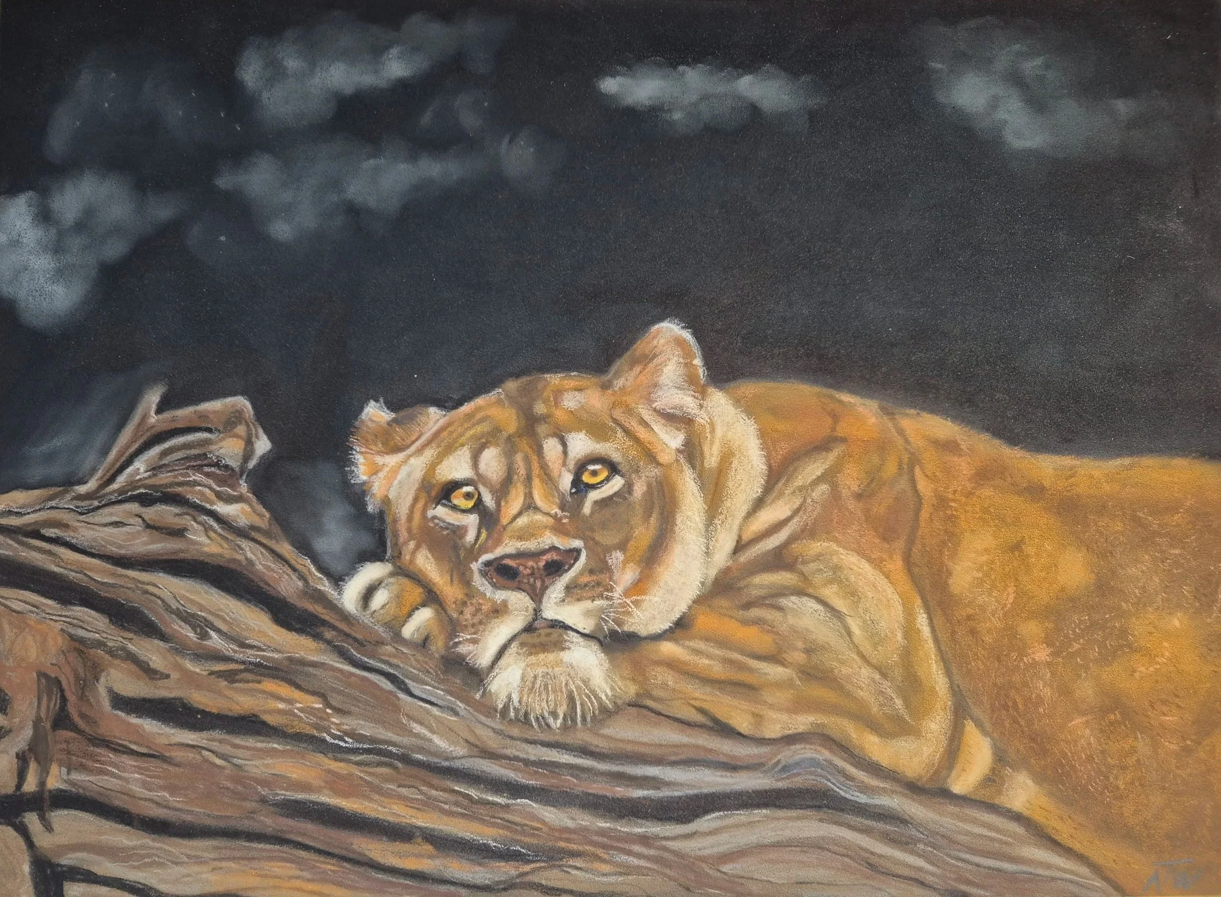 "Dronningen" pastell 30x40