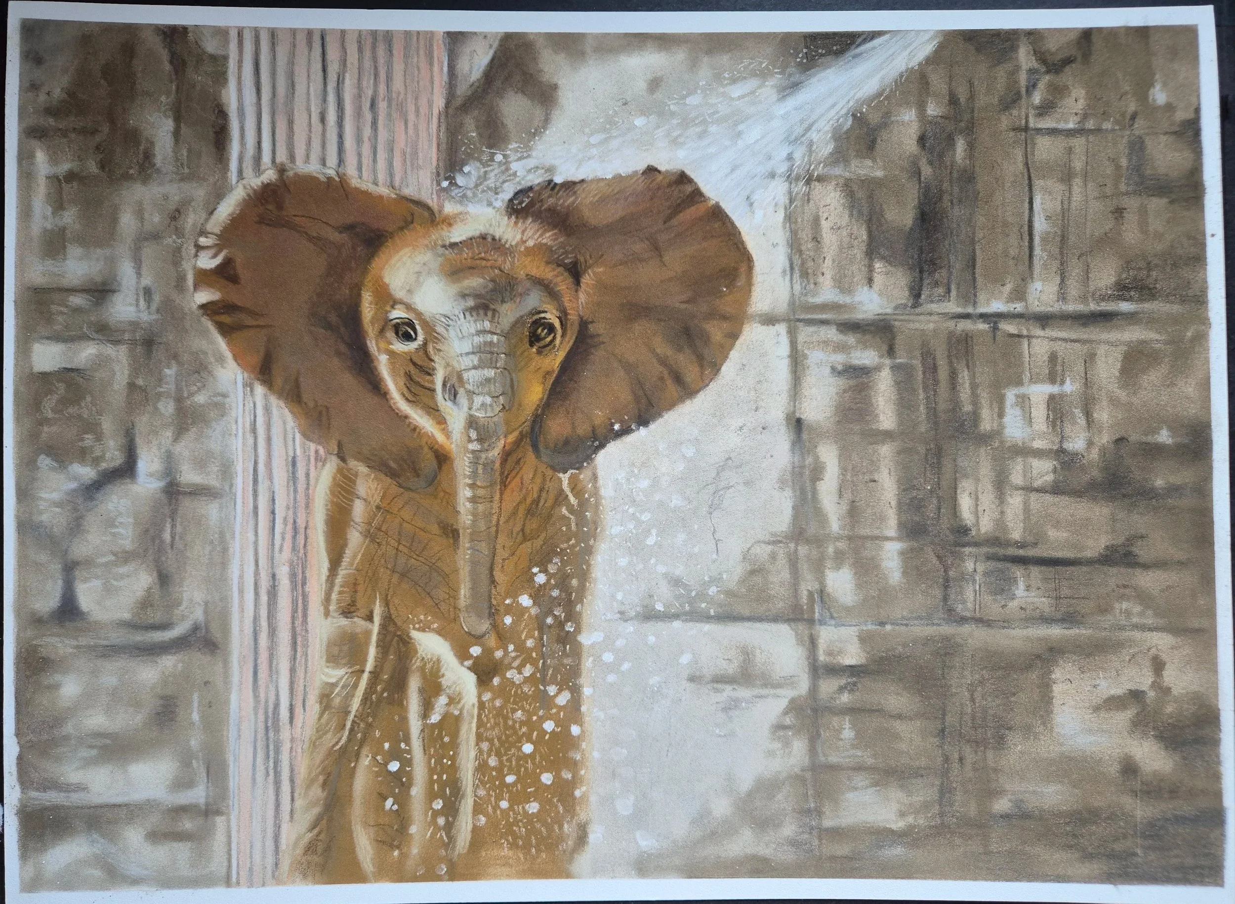 "Morgenbad" 30x40 pastell