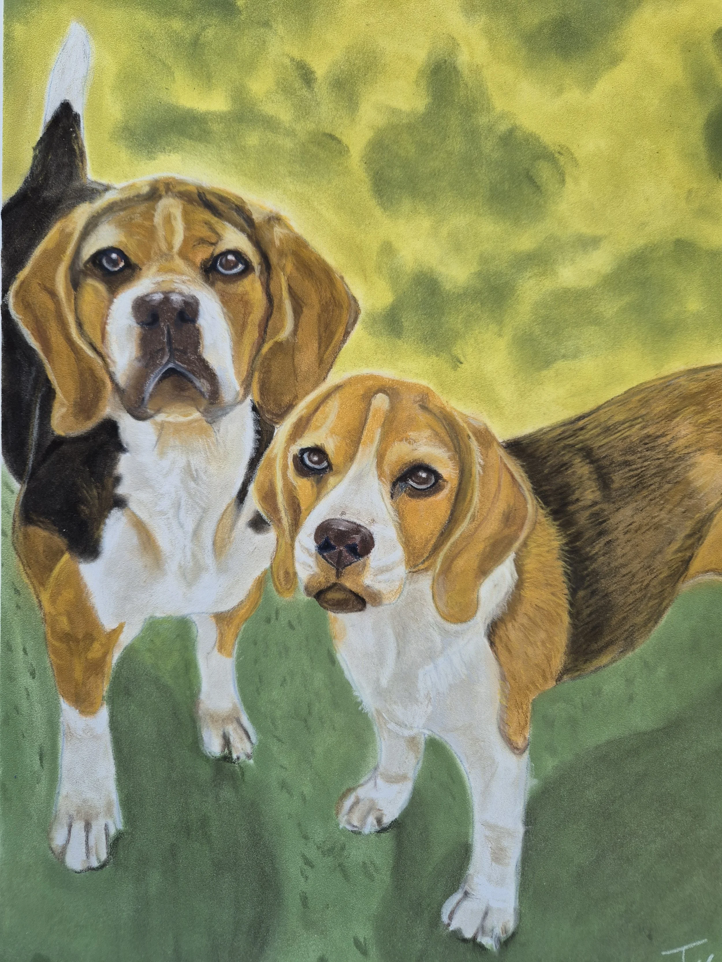 Hero og Kira A3 pastell
Privat eie