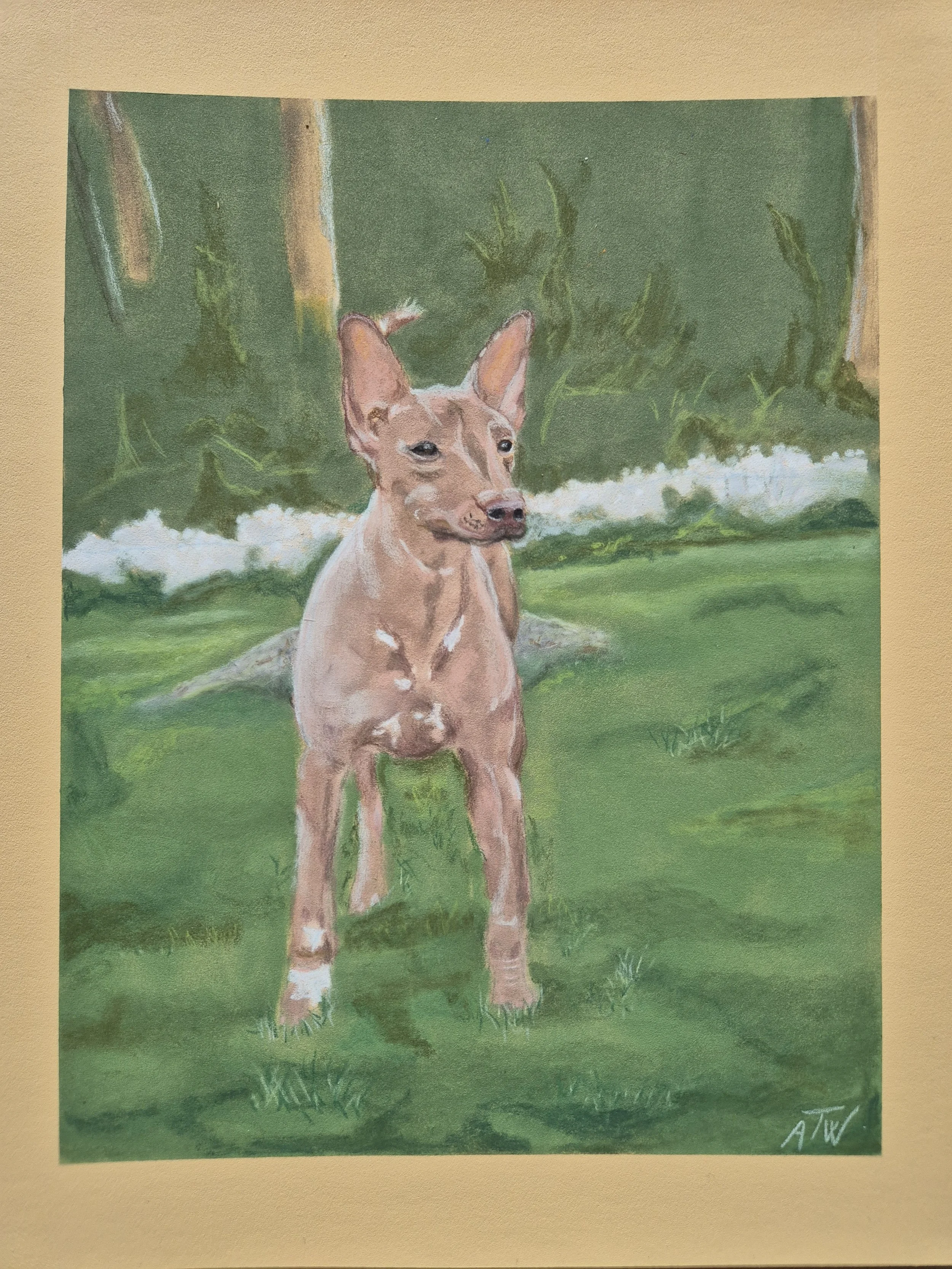 Vida A4 pastell
Privat eie