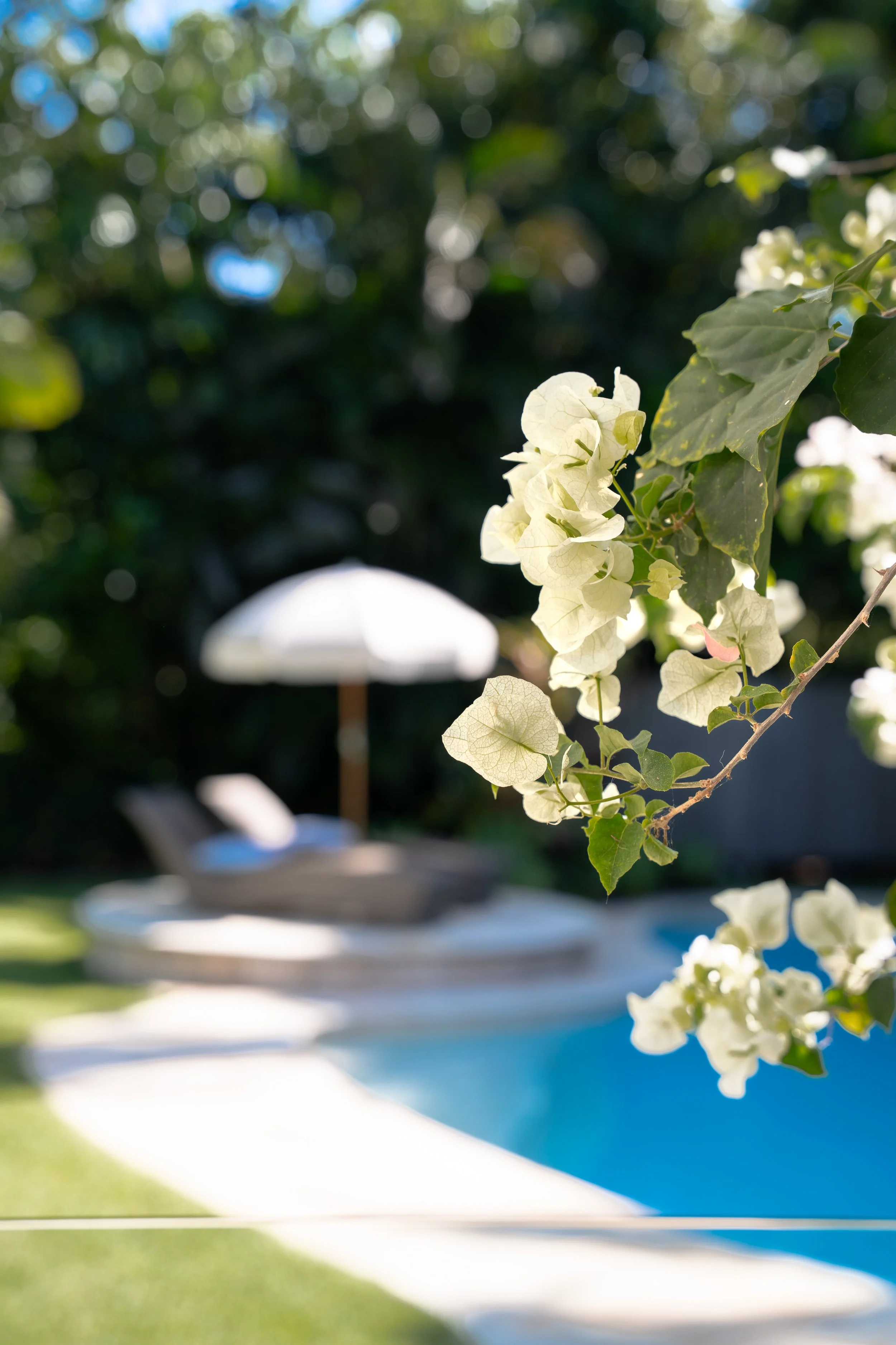 Tahi - Lifestyle-5.jpg