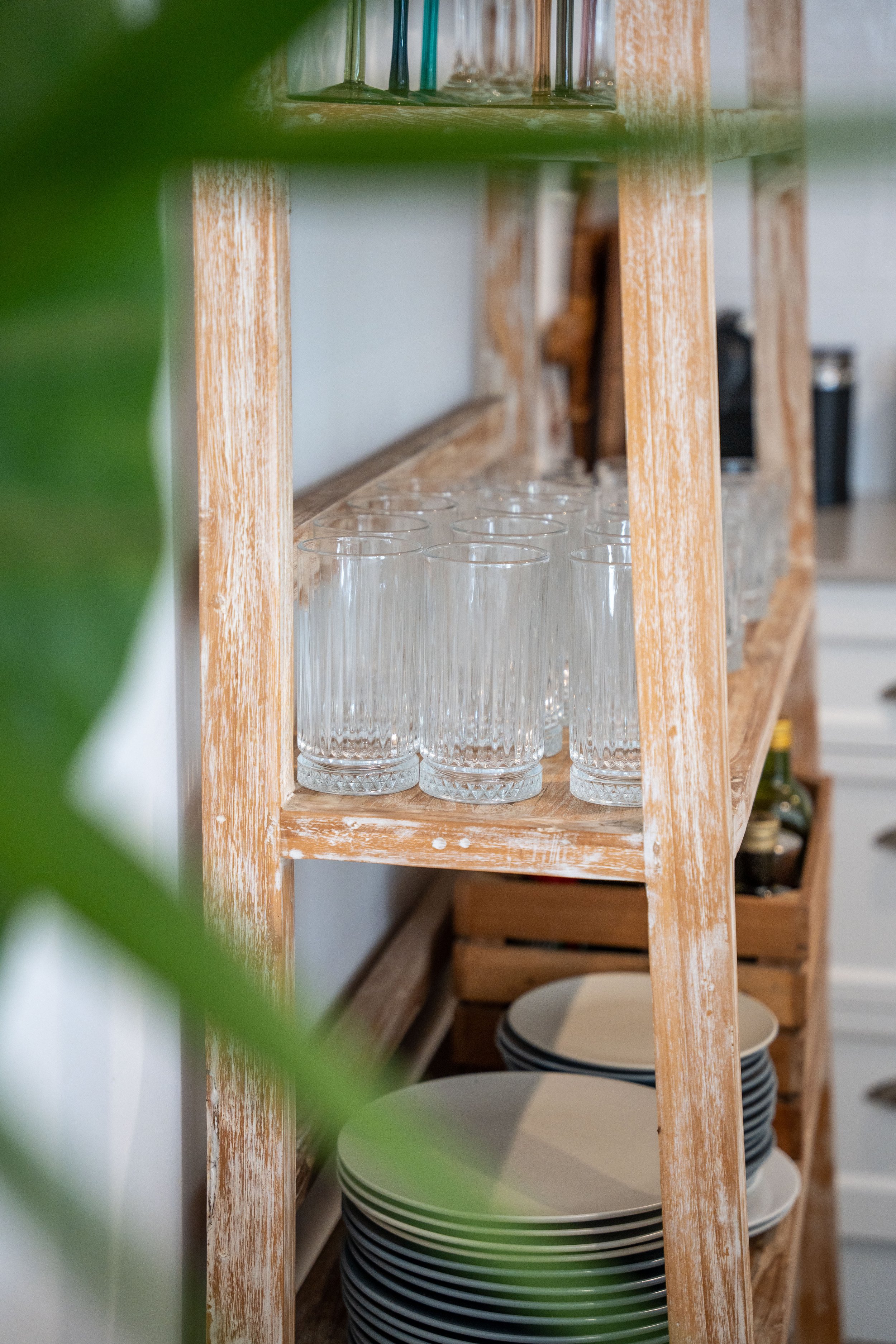 Tahi - Lifestyle-41.jpg