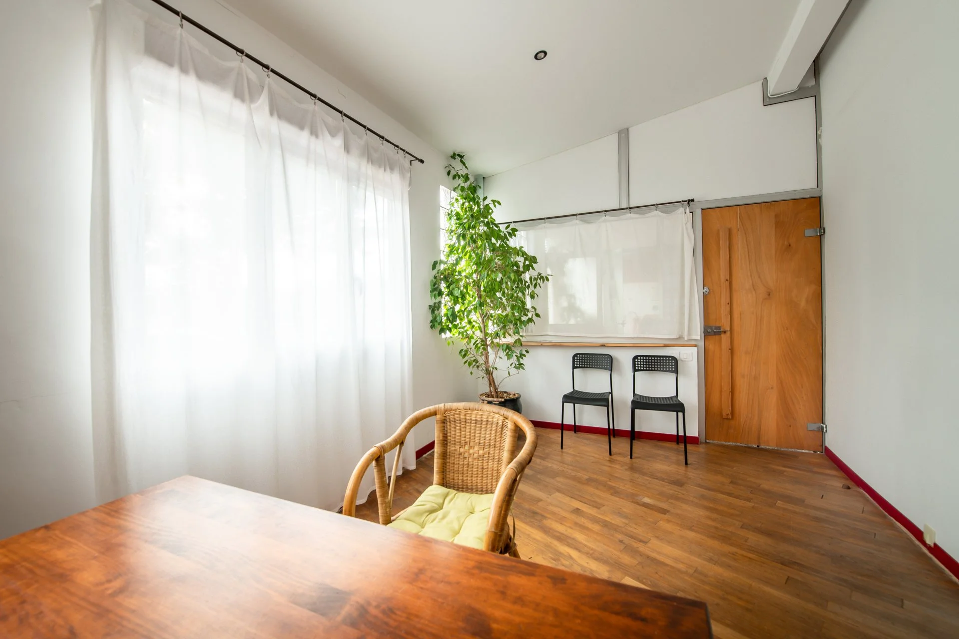 Une pièce avec une table en bois, une chaise en rotin avec un coussin vert, deux chaises noires, une grande plante verte, une fenêtre avec des rideaux blancs, un plafond blanc, un sol en bois, une porte en bois.