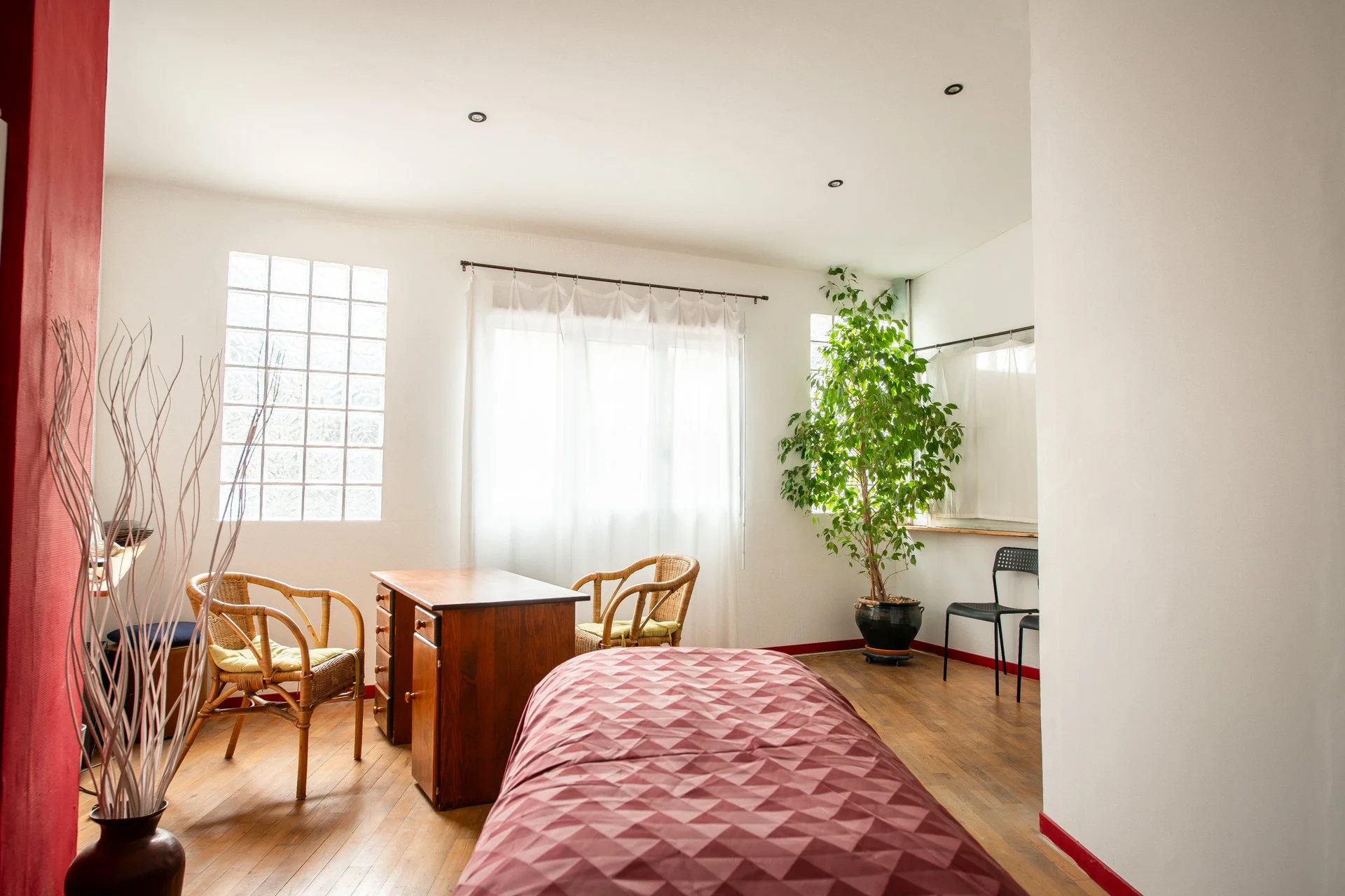 Salon lumineux avec grandes fenêtres, rideaux blancs, un lit avec une couverture rouge et motif géométrique, une table en bois, des chaises en rotin, un impressionnant arbre vert en pot, et un mur avec une verrière.