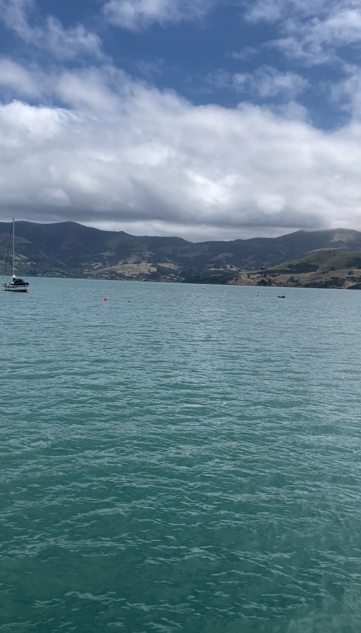 Christchurch to Akaroa Return