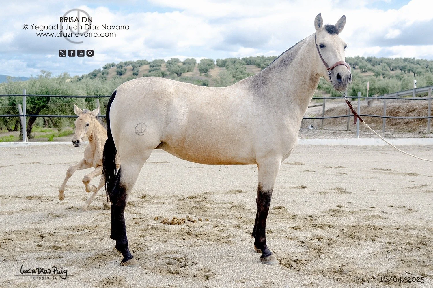 Foto by Lucía Díaz Puig