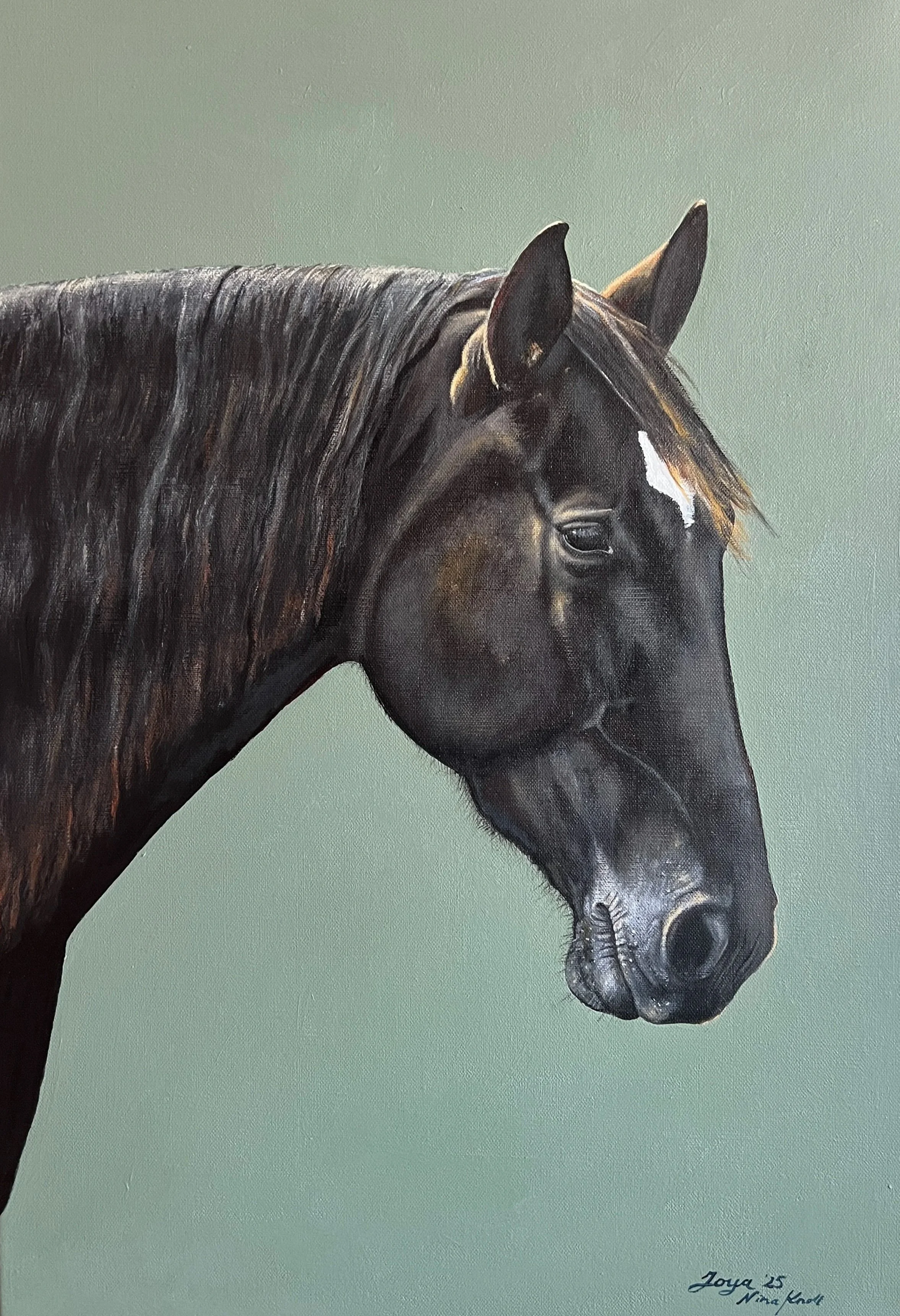 Gemaltes Porträt eines schwarzen Pferdes vor einem grünen Hintergrund.