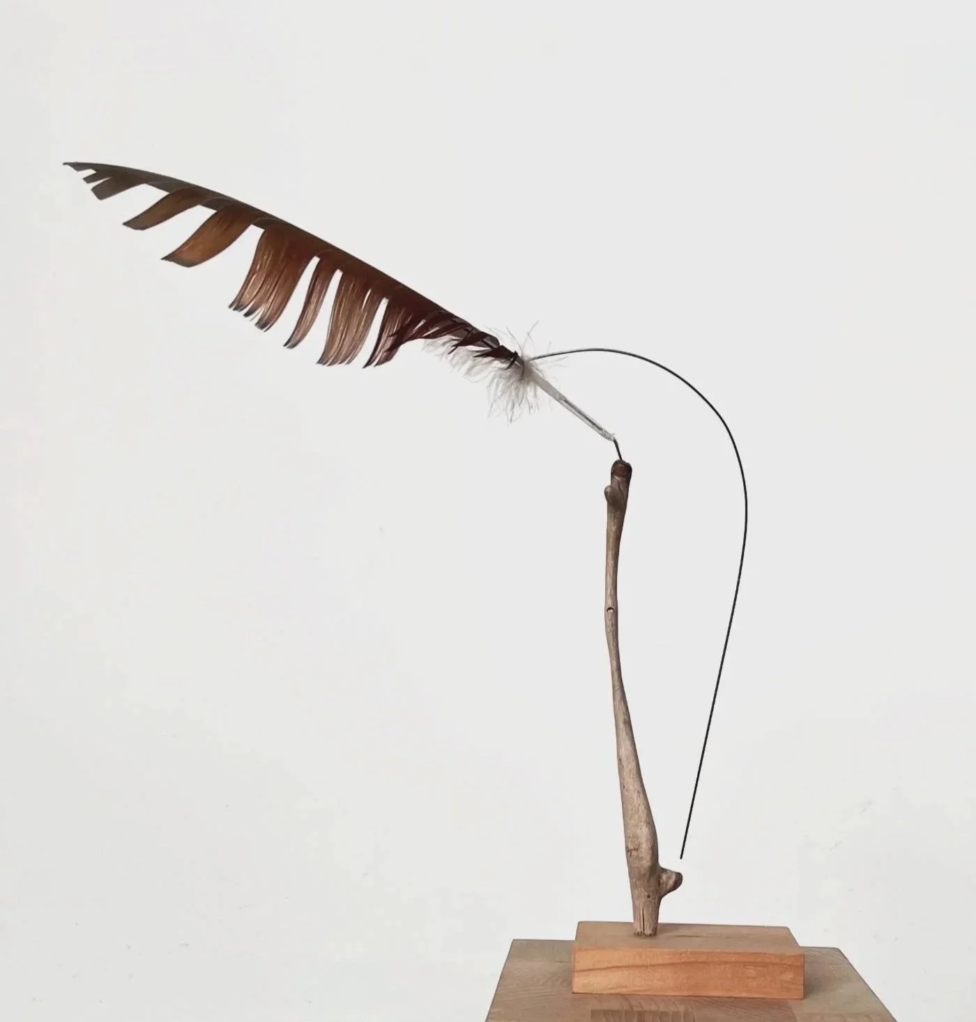 Stabile mit Feder, Federstahl und Schwemmholz vom Rhein