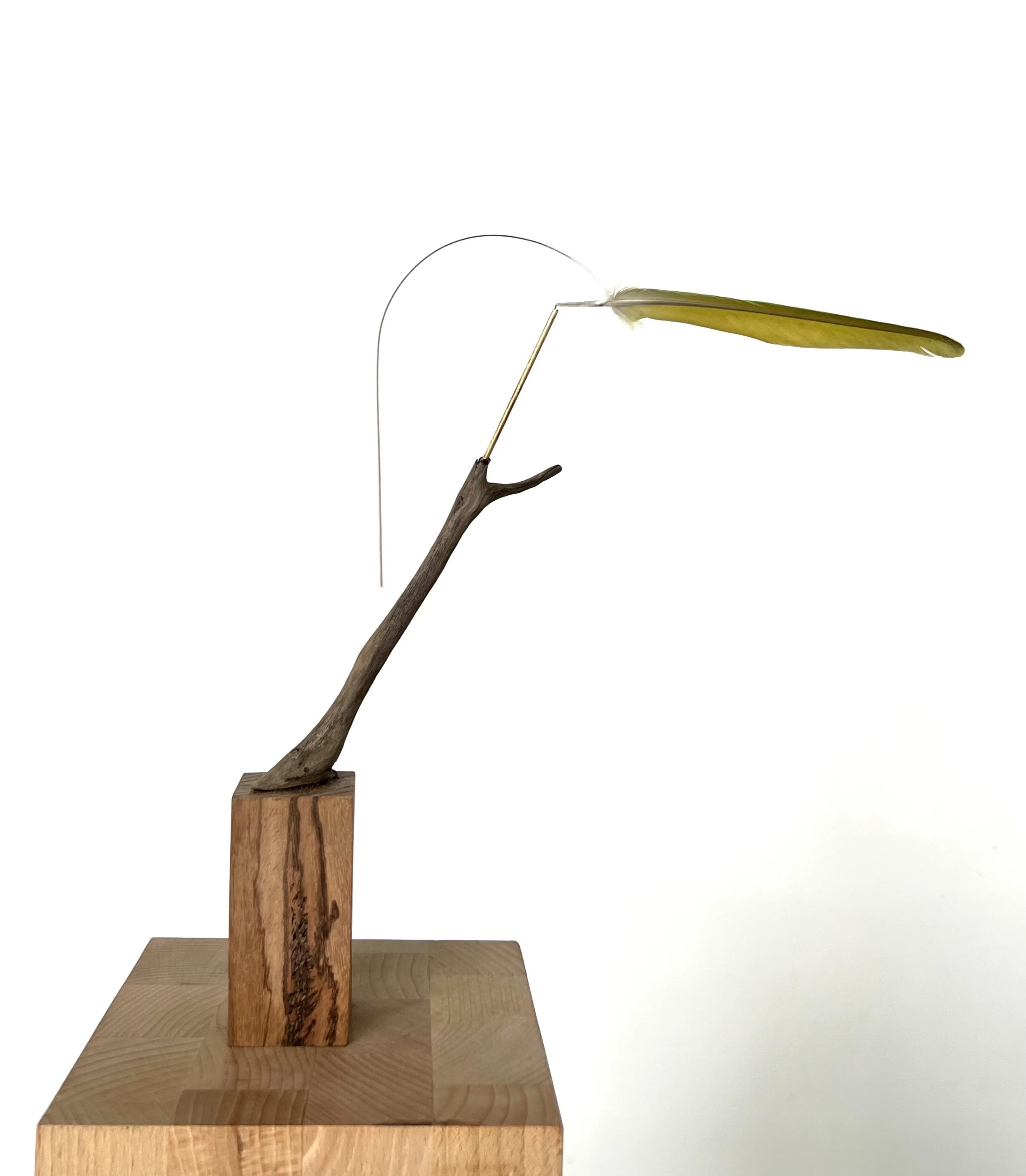 Stabile mit Feder, Federstahl und Schwemmholz vom Rhein