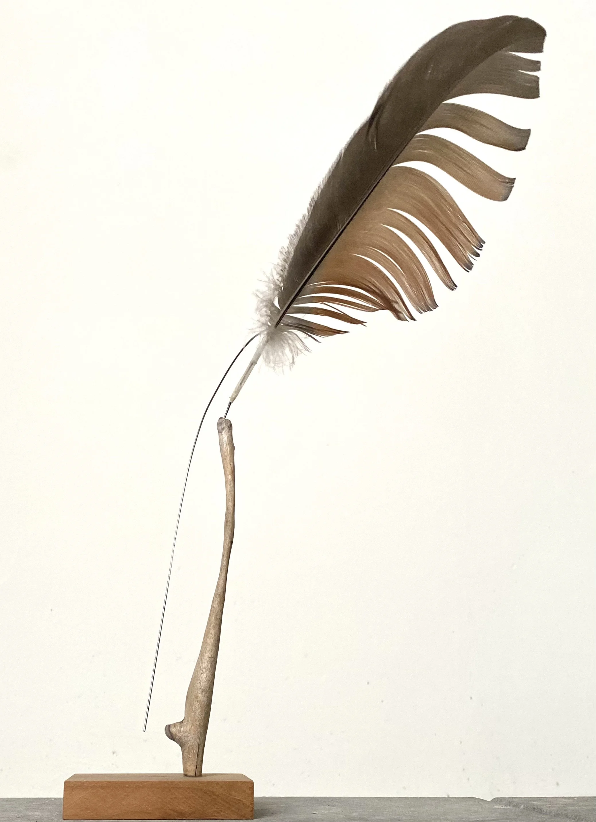 Stabile mit Feder, Federstahl und Schwemmholz vom Rhein