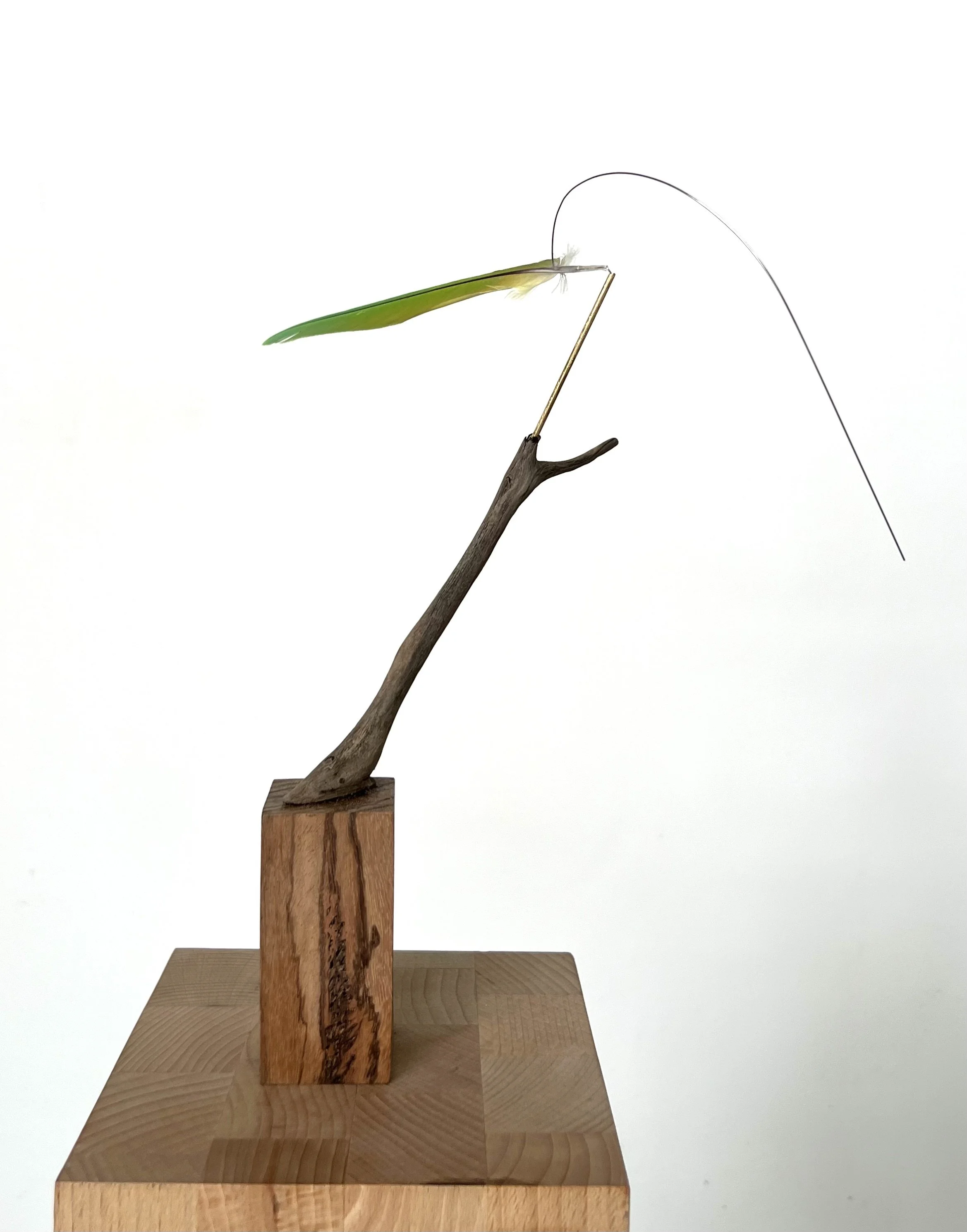 Stabile mit Feder, Federstahl und Schwemmholz vom Rhein