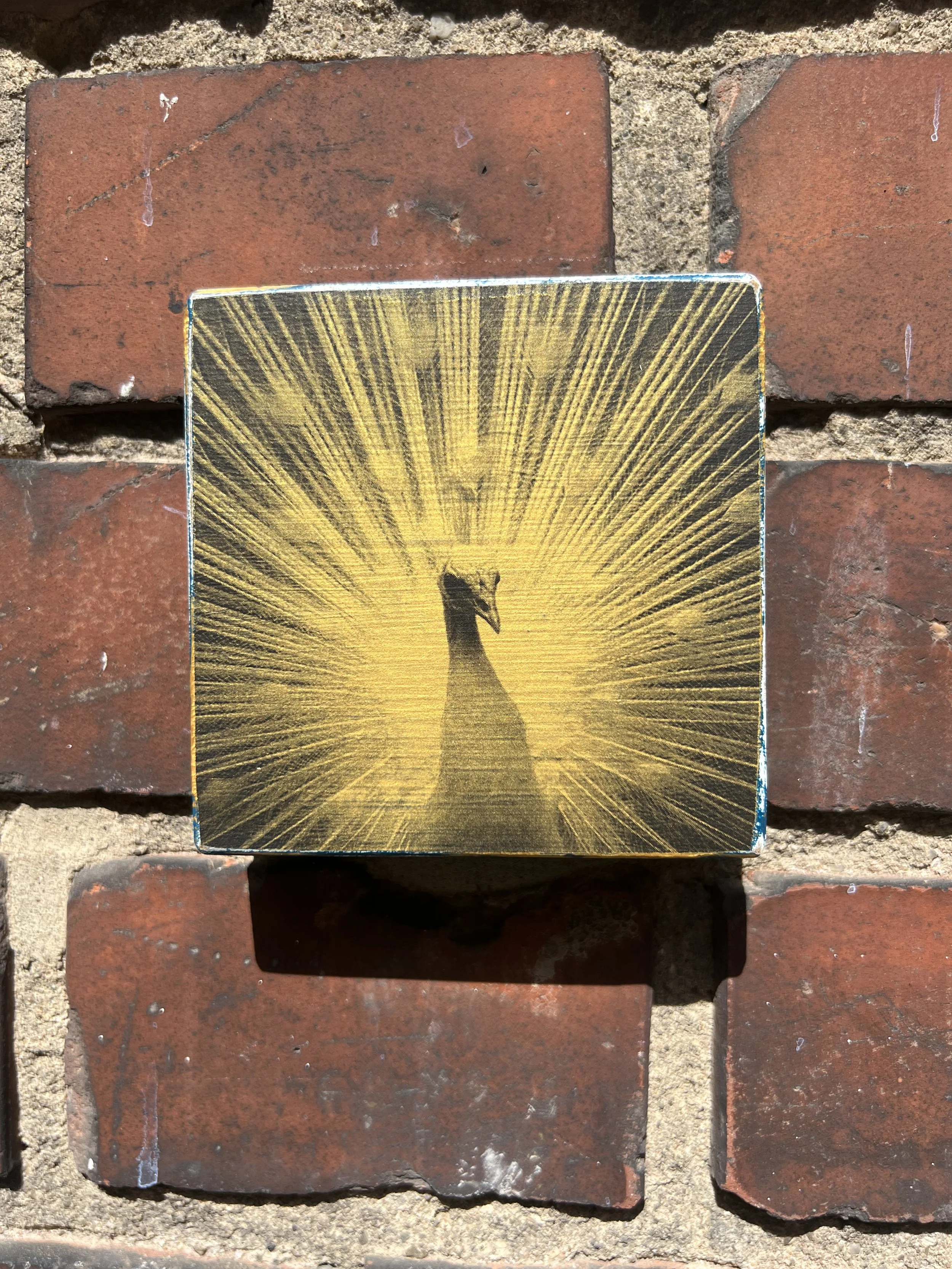 Druck-Collage. 10x10cm. Für die Wand oder zum Hinstellen. Jedes ein Einzelstück.