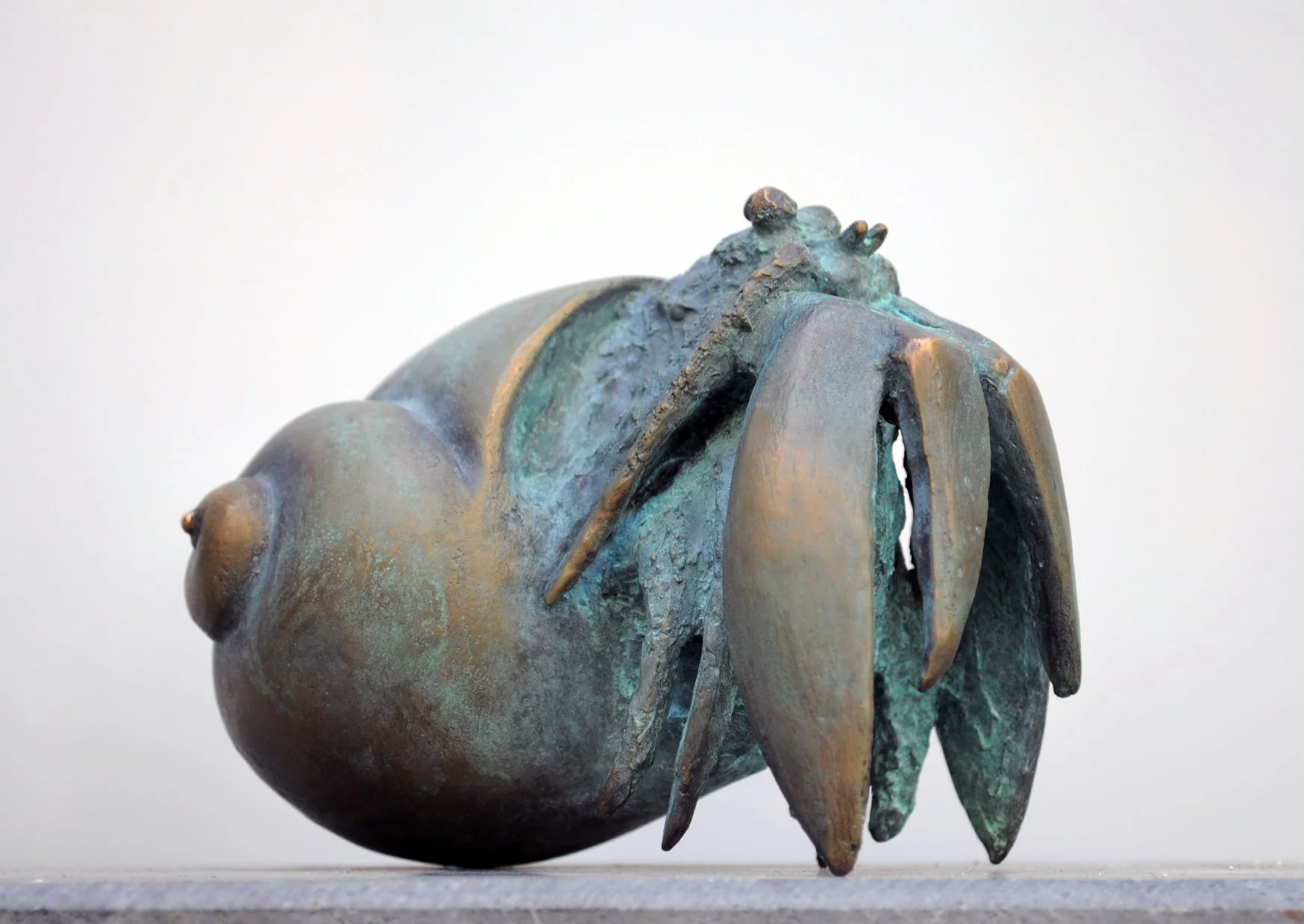 Einsiedlerkrebs (Auflage erfüllt)